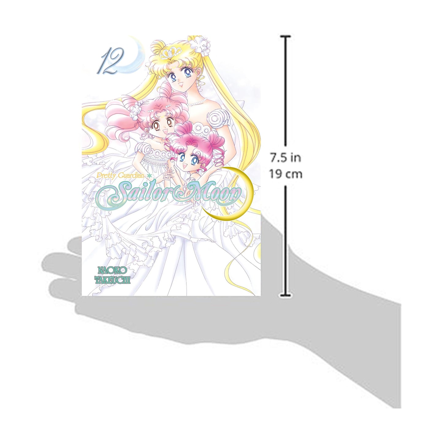Pretty Guardian Sailor Moon, Vol. 12