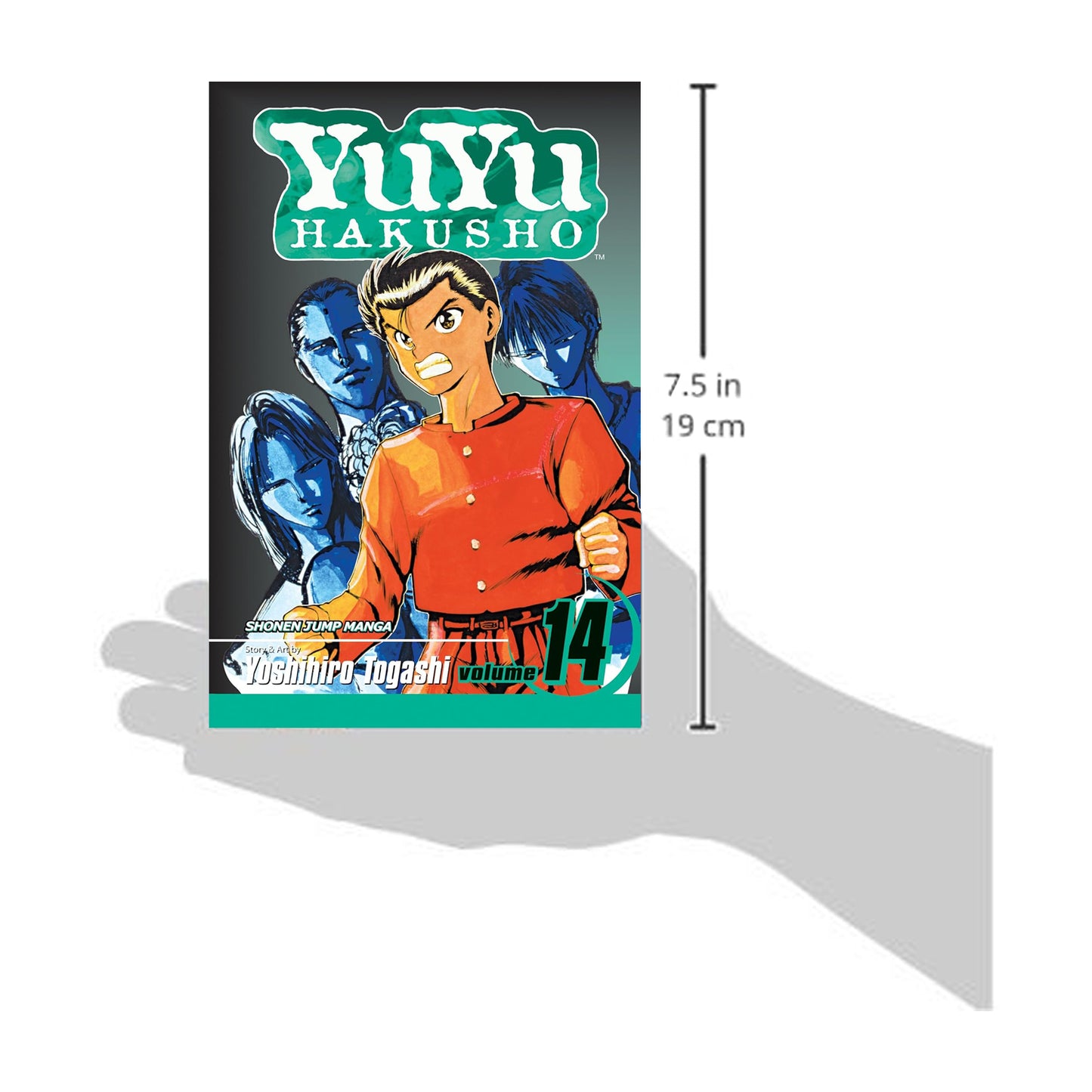 Yu Yu Hakusho, Volume 14: A Bloody Past!!