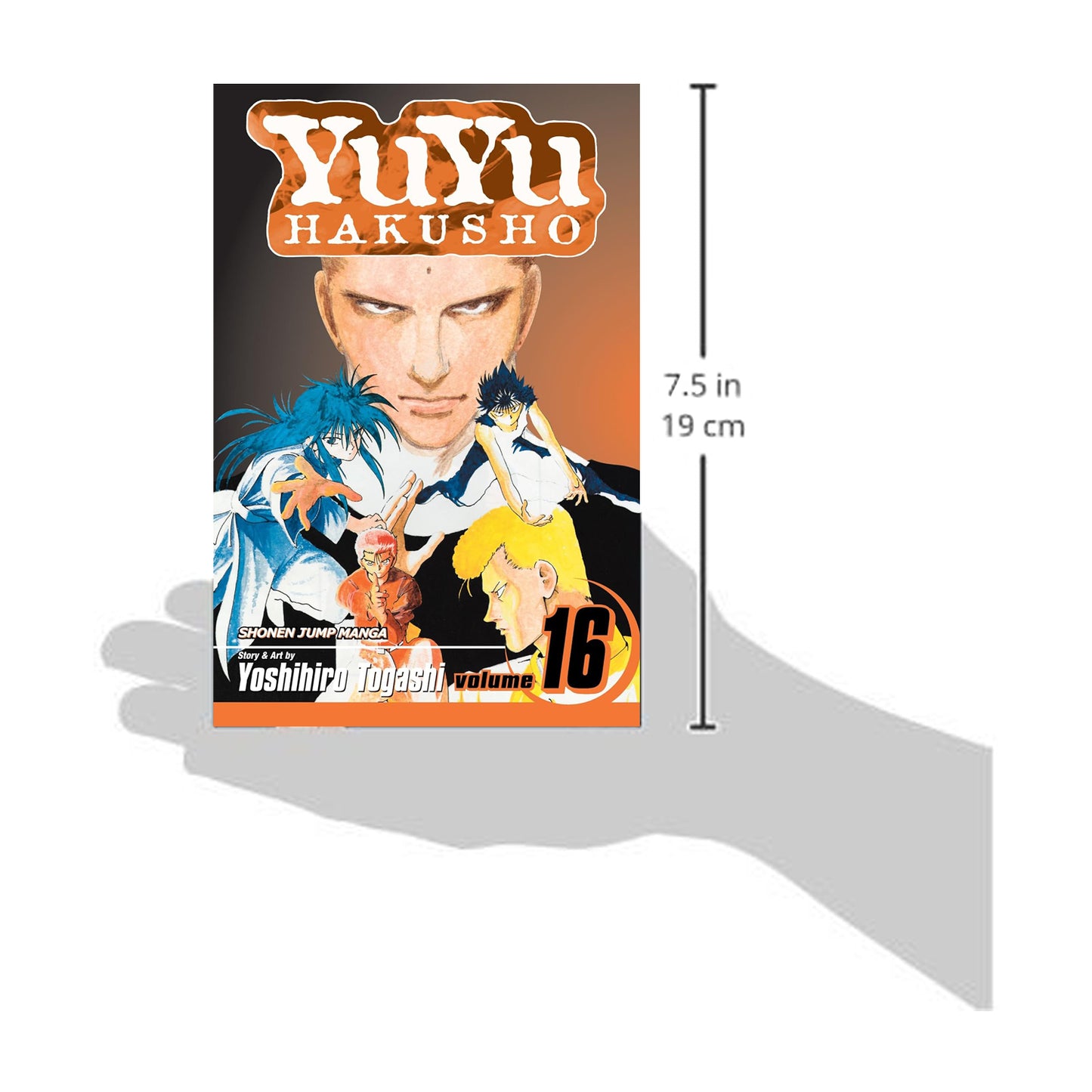 Yu Yu Hakusho, Volume 16: Into the Demon Plane!!