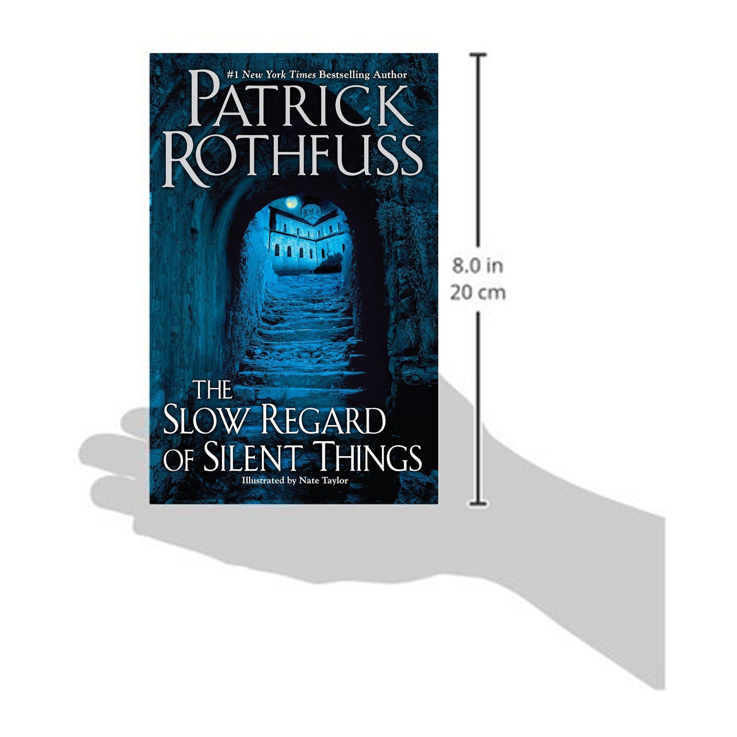 The Slow Regard of Silent Things