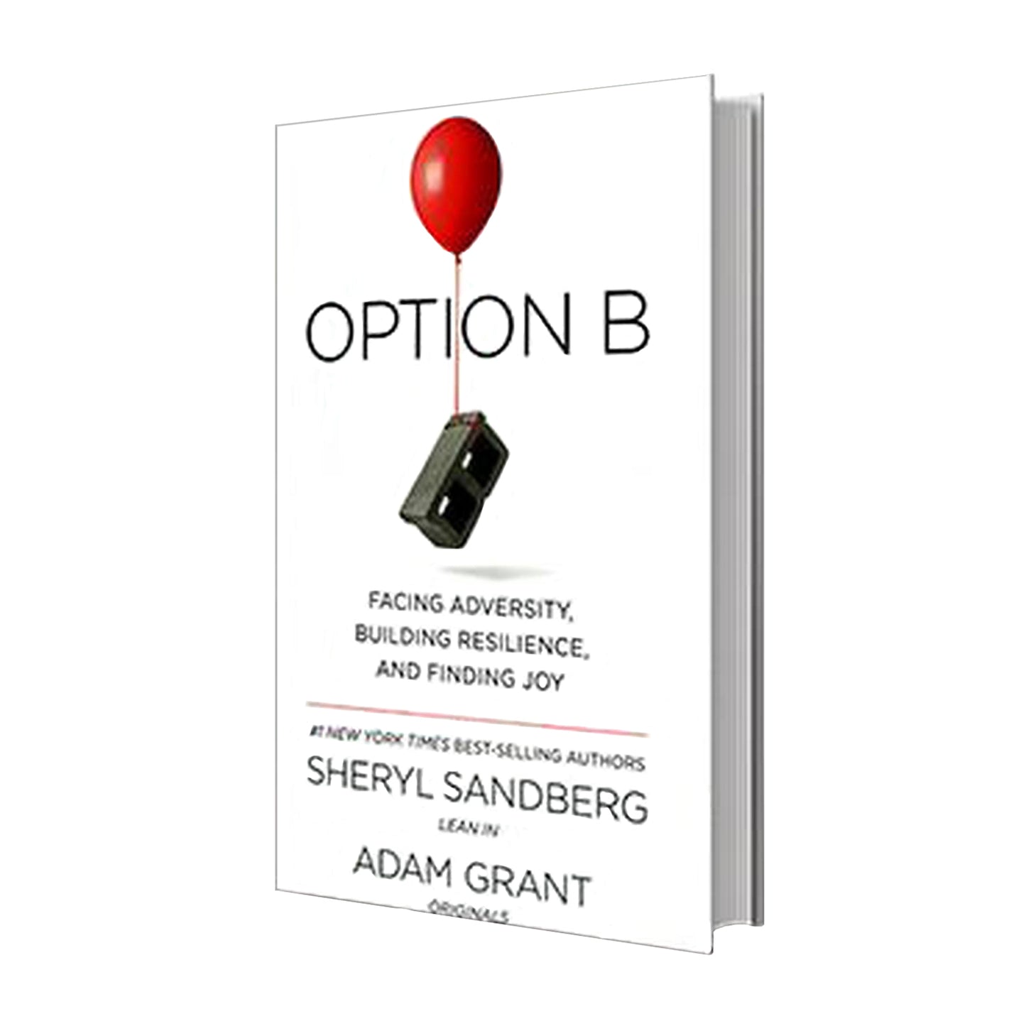Option B: Facing Adversity, Building Resilience, and Finding Joy