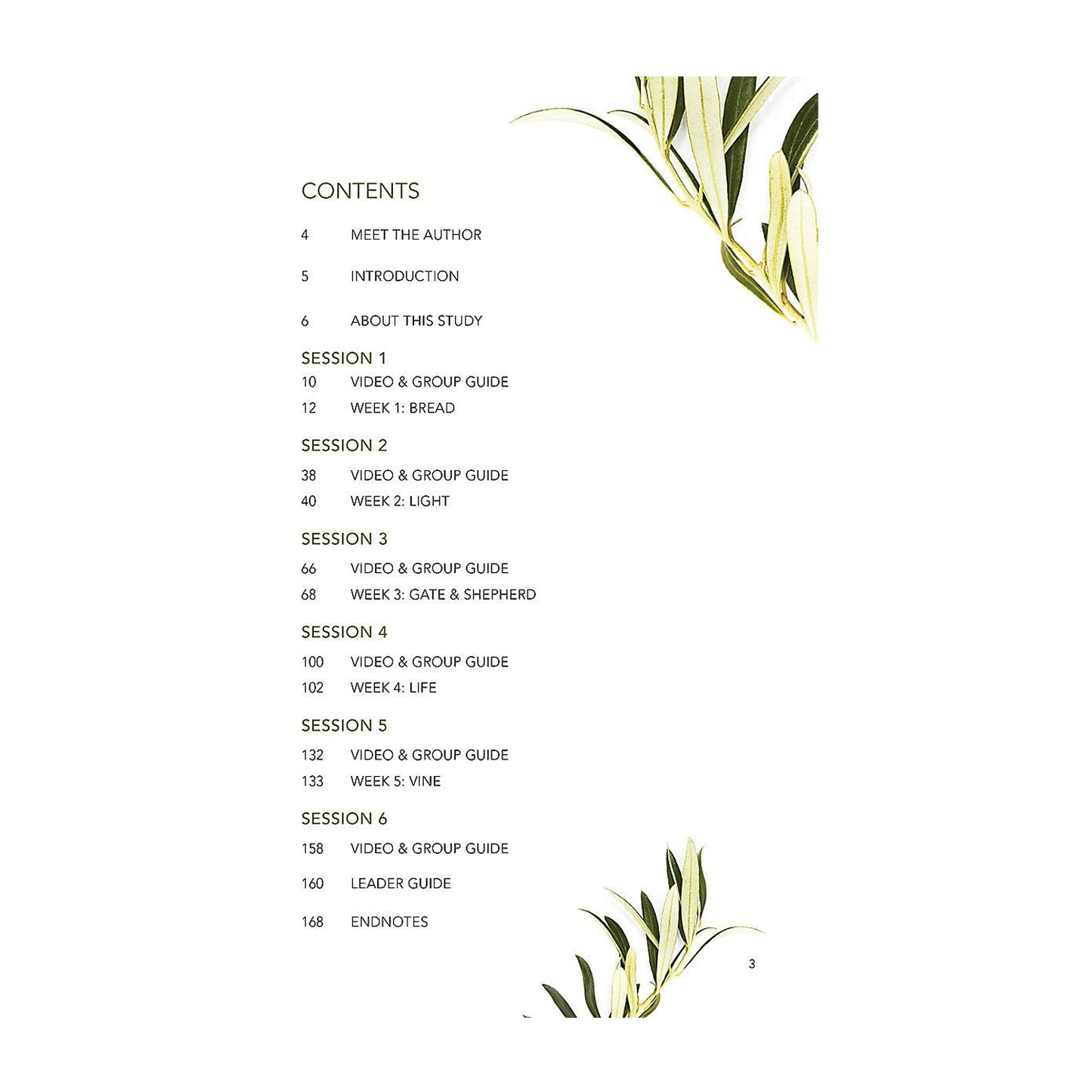 Finding I AM: How Jesus Fully Satisfies the Cry of Your Heart