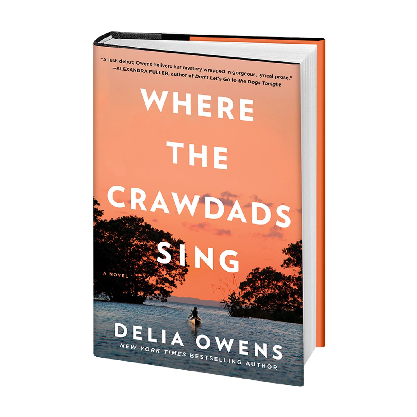 Where the Crawdads Sing: A Novel