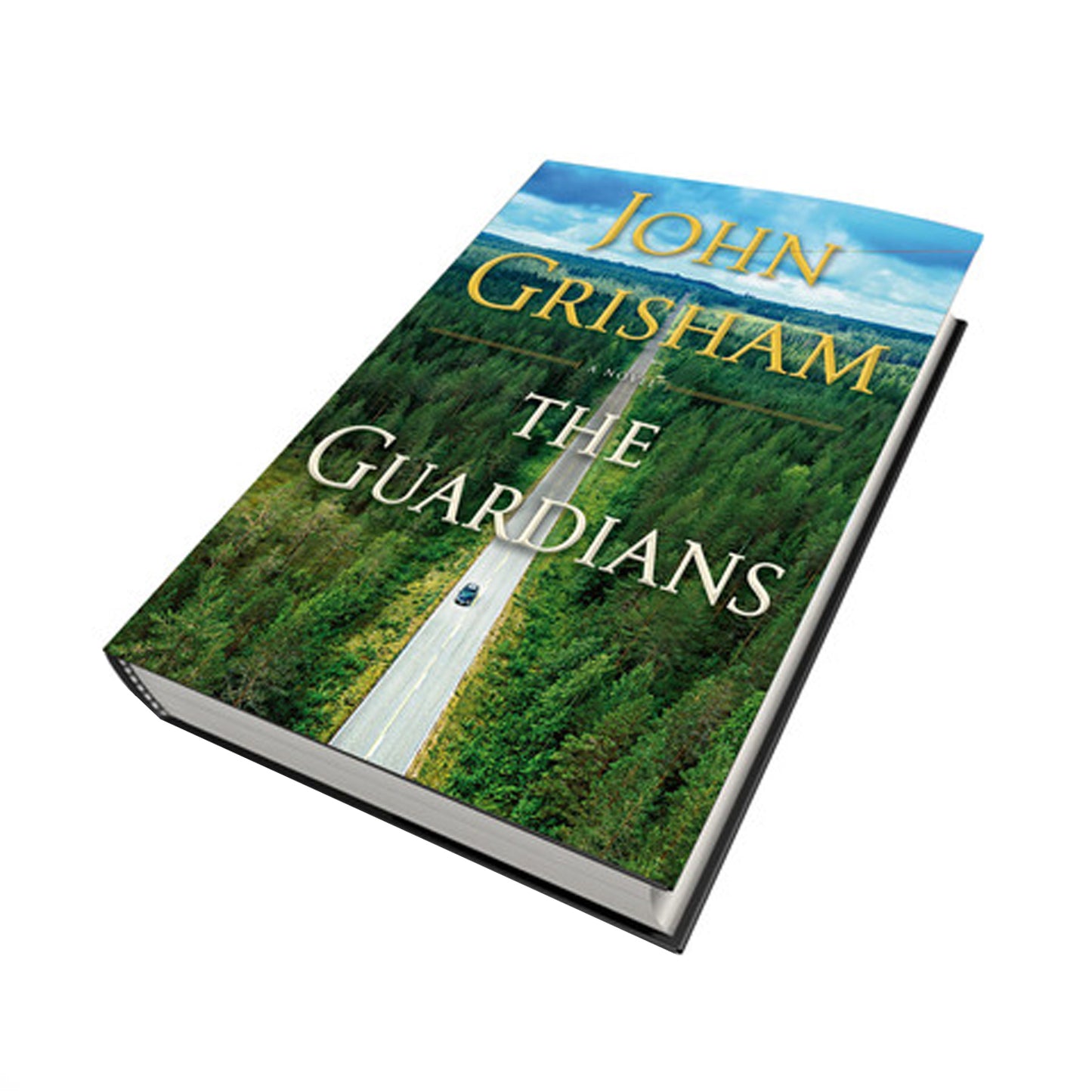 The Guardians: A Novel