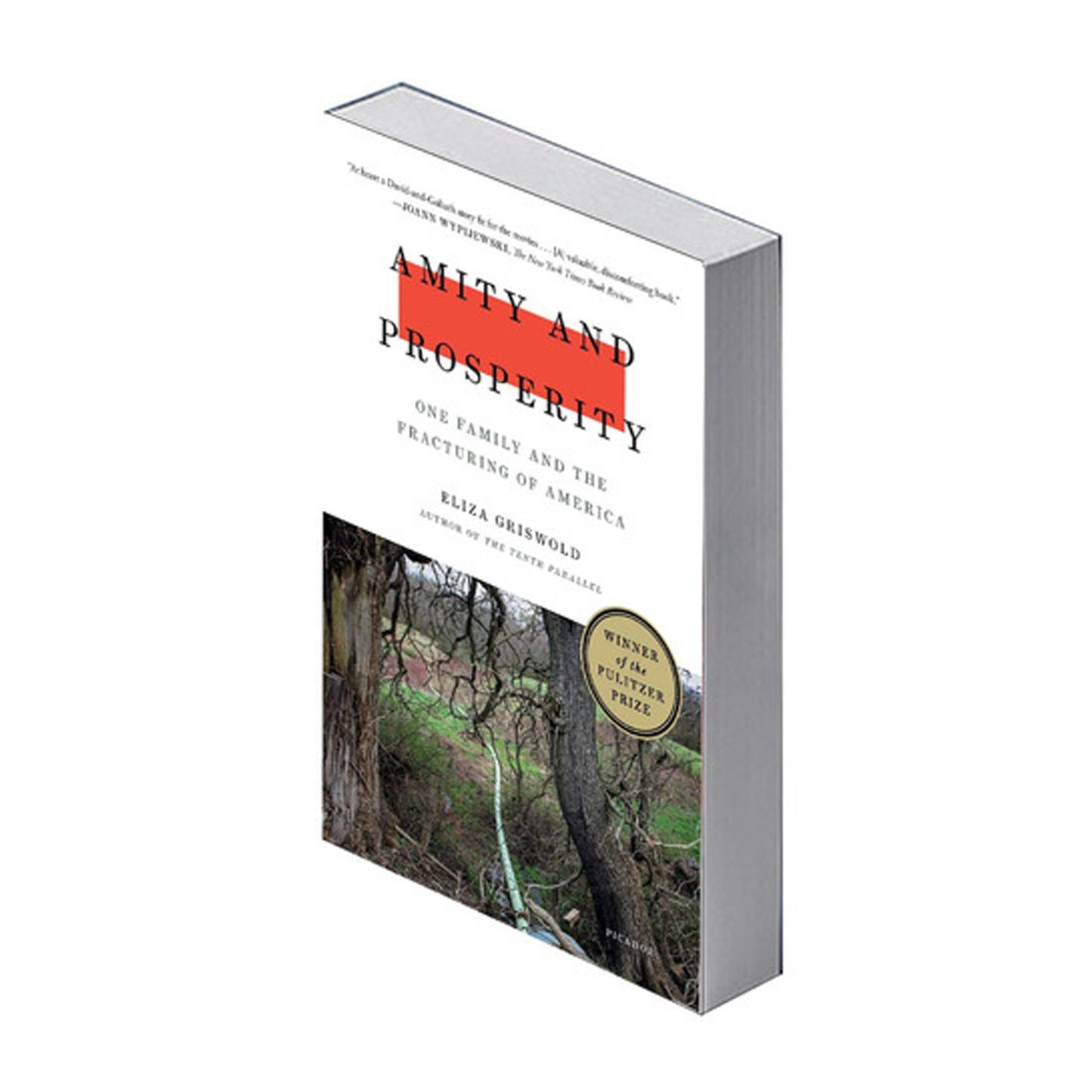 Amity and Prosperity: One Family and the Fracturing of America