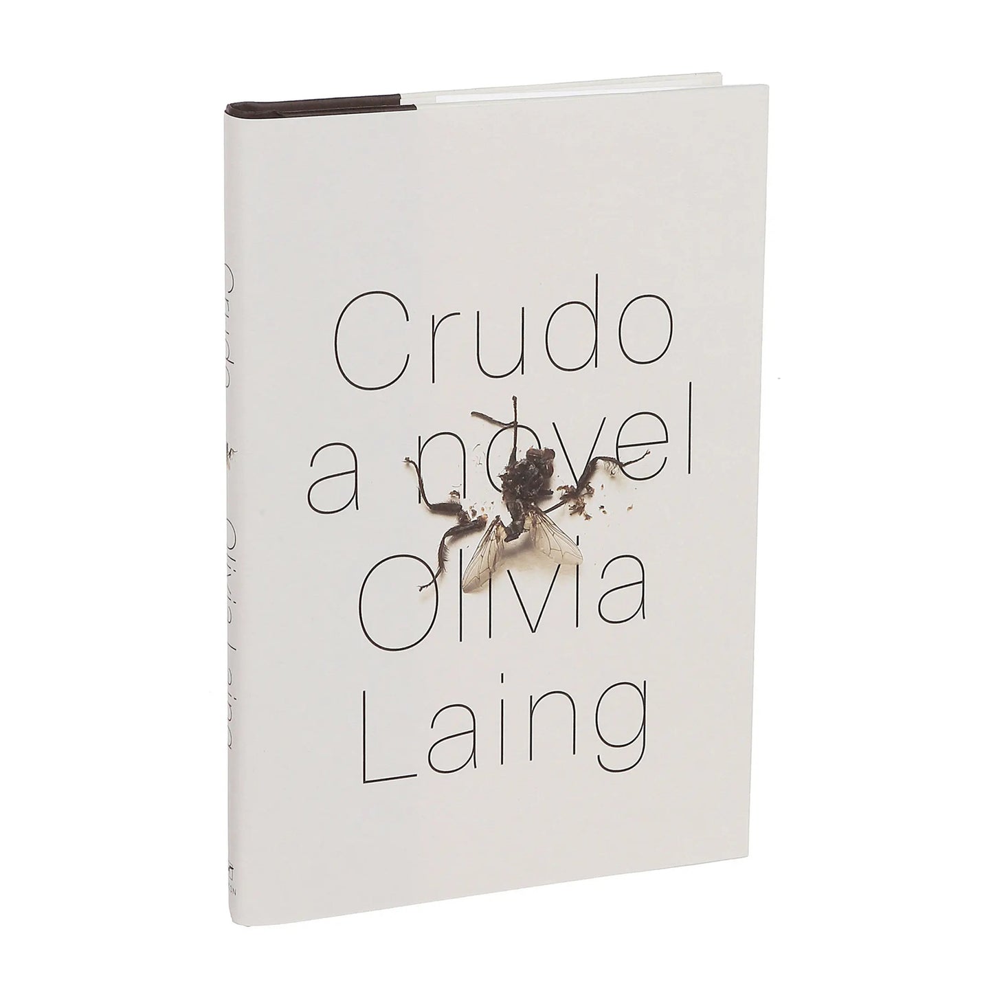 Crudo: A Novel