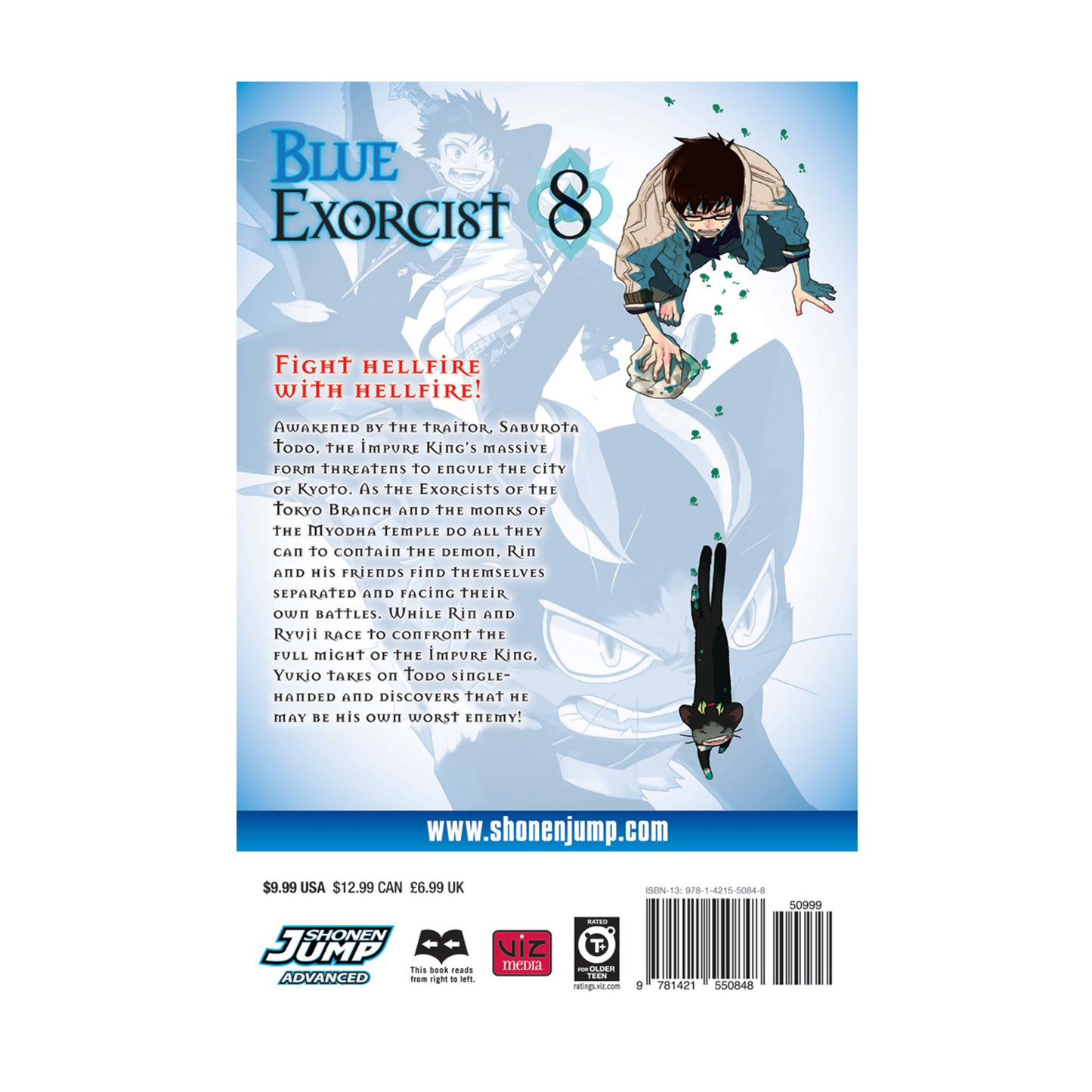 Blue Exorcist, Vol. 8