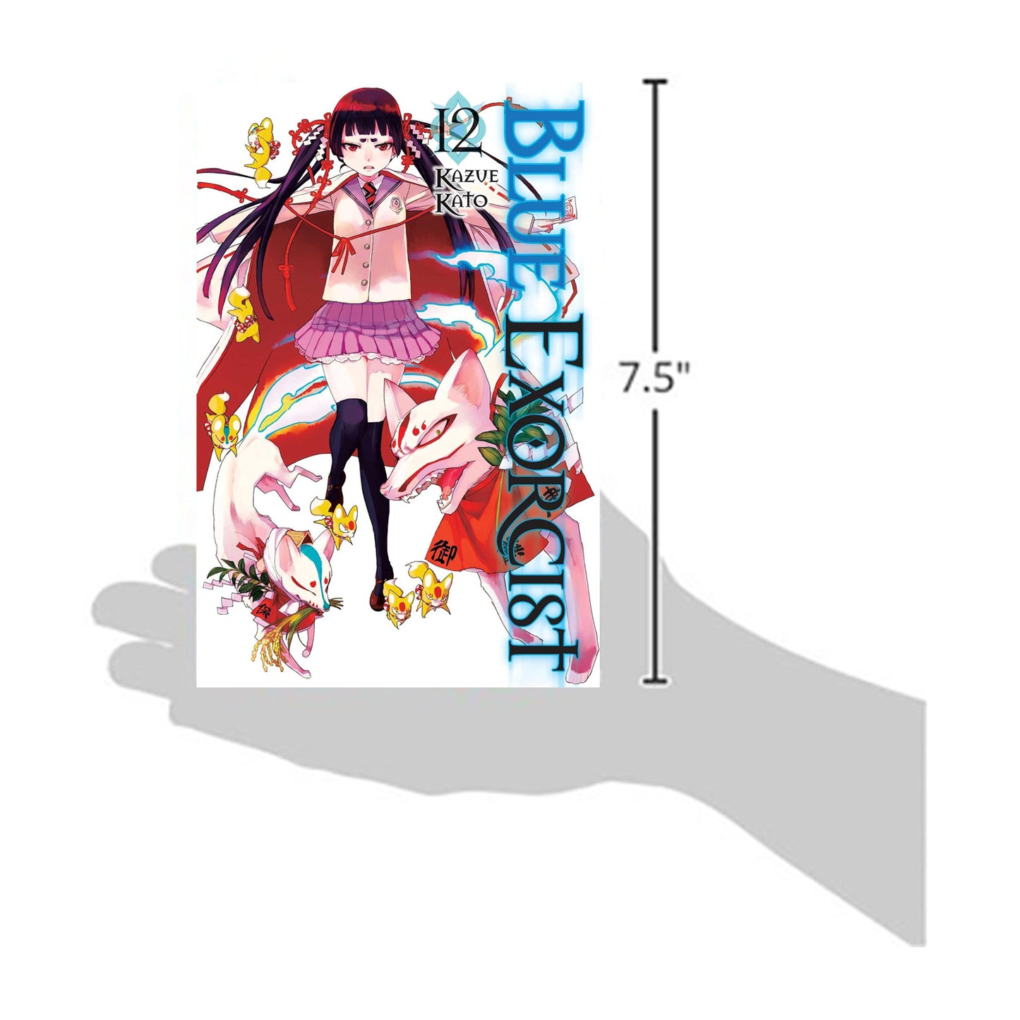 Blue Exorcist, Vol. 12