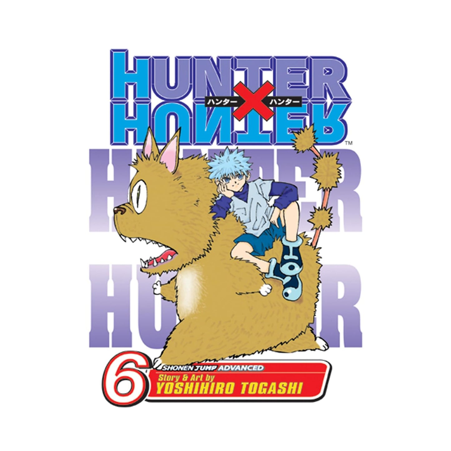 Hunter x Hunter, Vol. 6