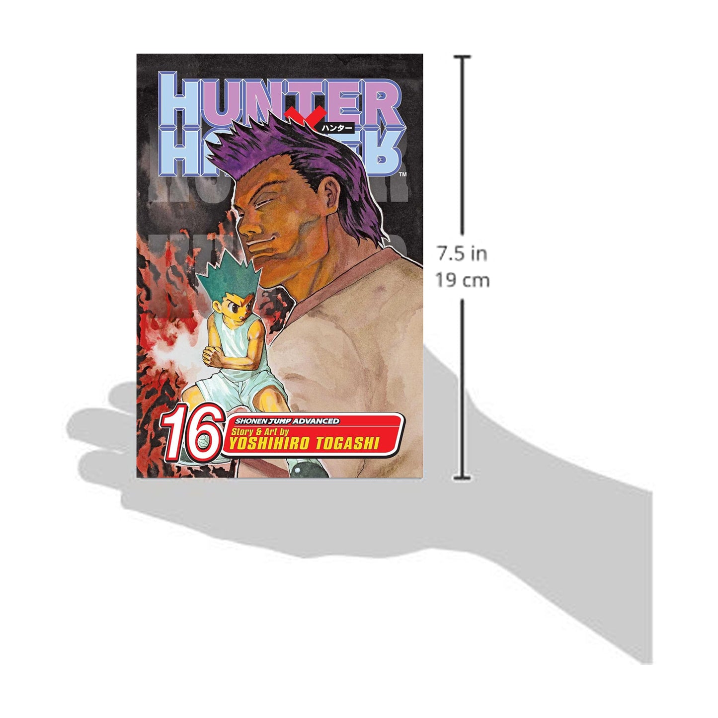 Hunter x Hunter, Vol. 16