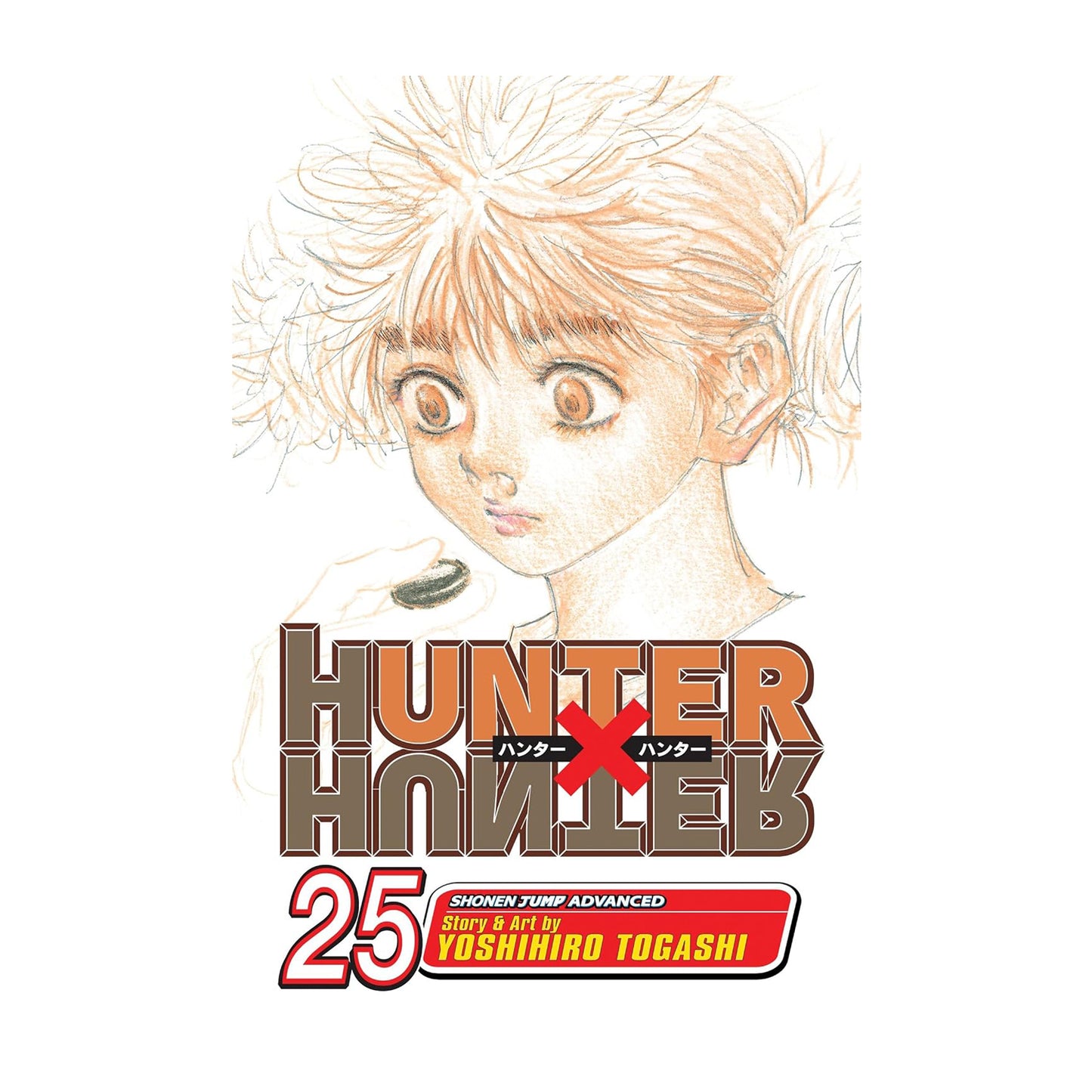 Hunter x Hunter, Vol. 25