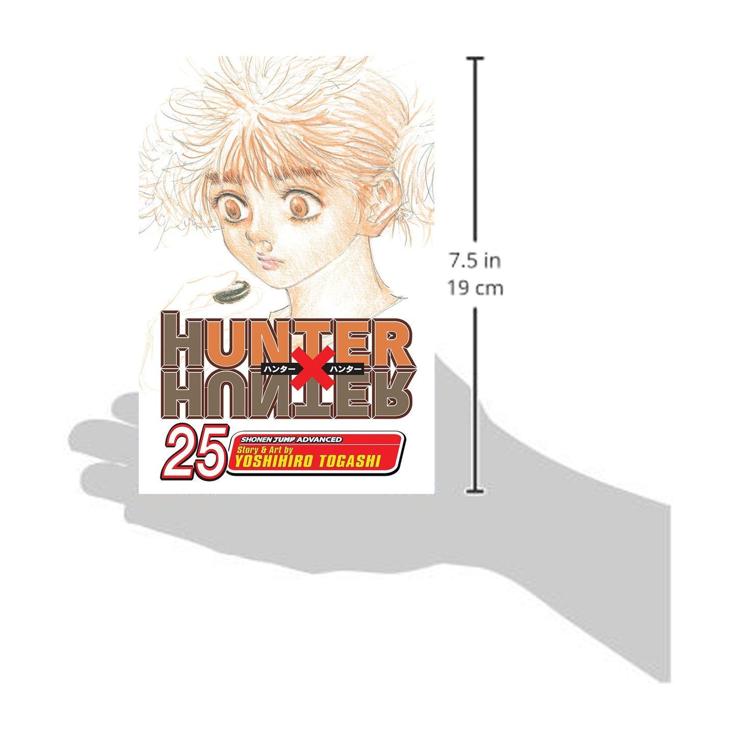 Hunter x Hunter, Vol. 25