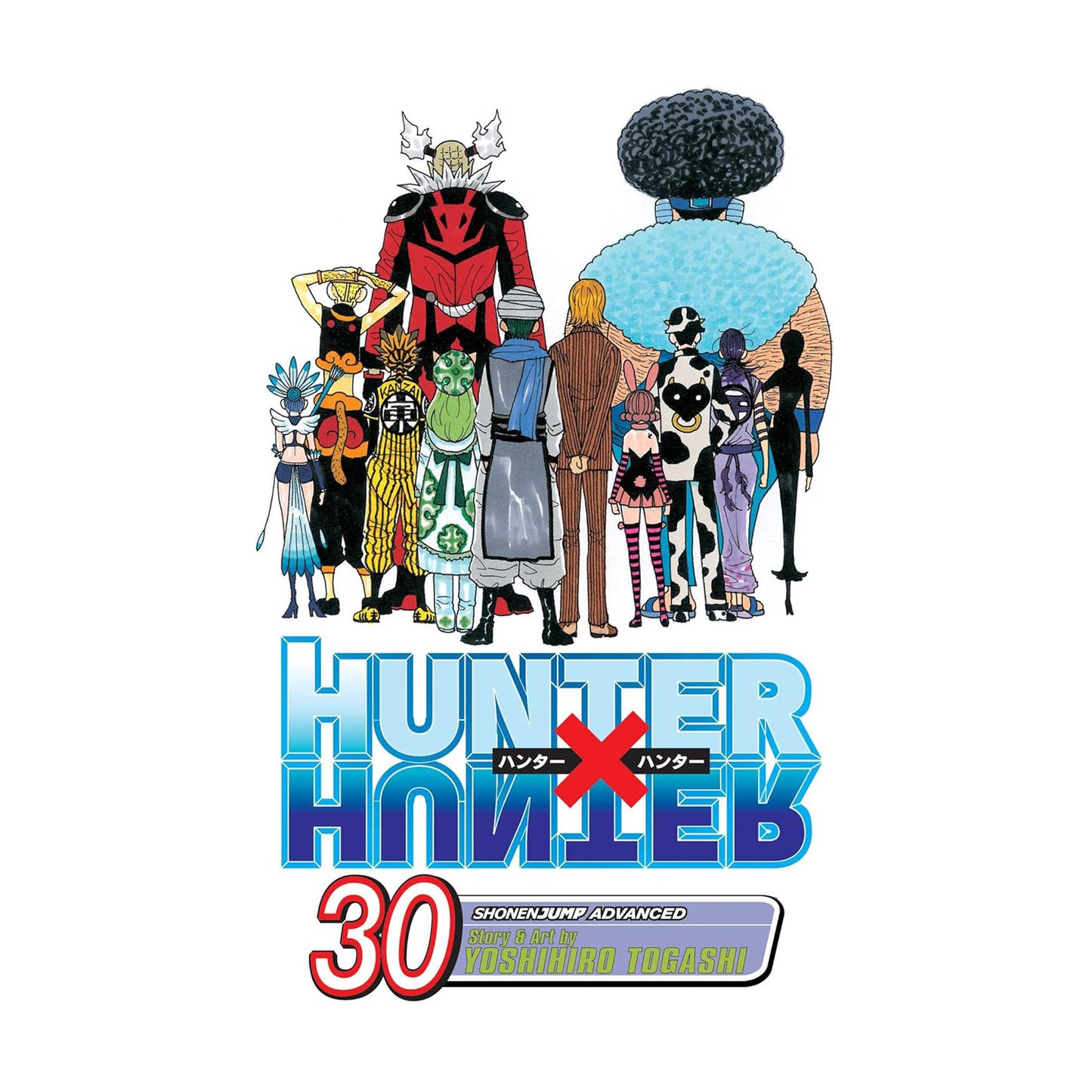 Hunter x Hunter, Vol. 30