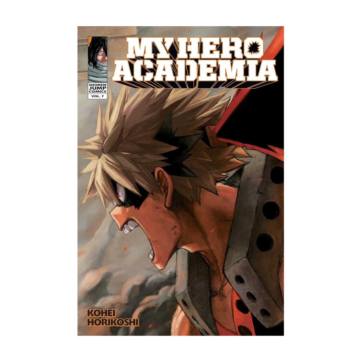 My Hero Academia, Vol. 7