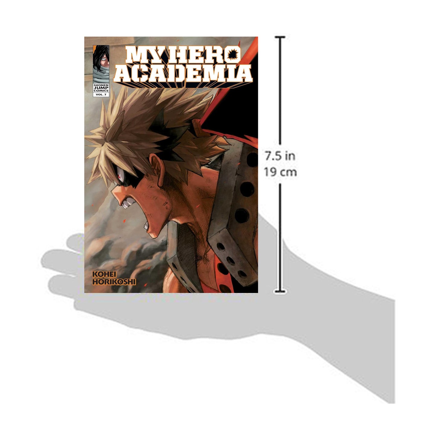 My Hero Academia, Vol. 7