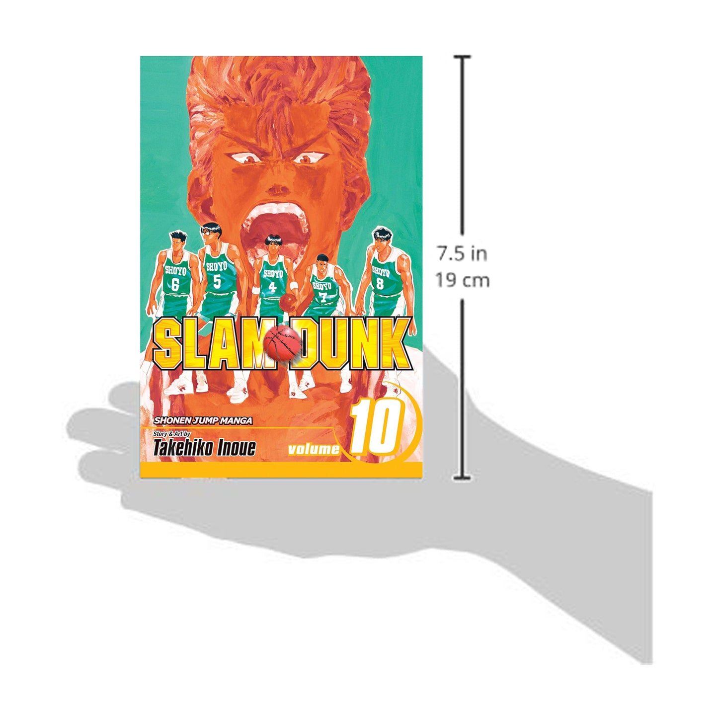 Slam Dunk, Volume 10