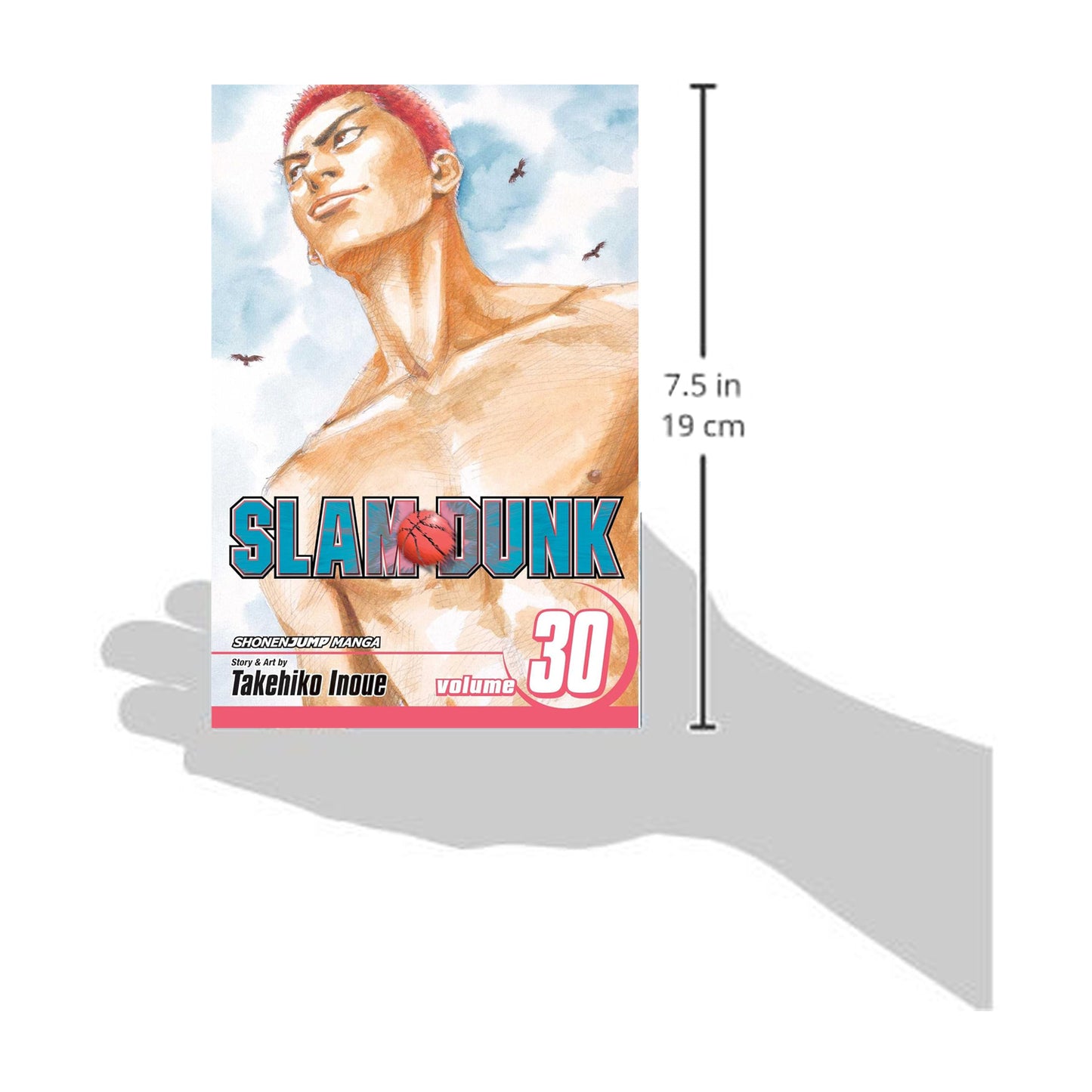 Slam Dunk, Volume 30