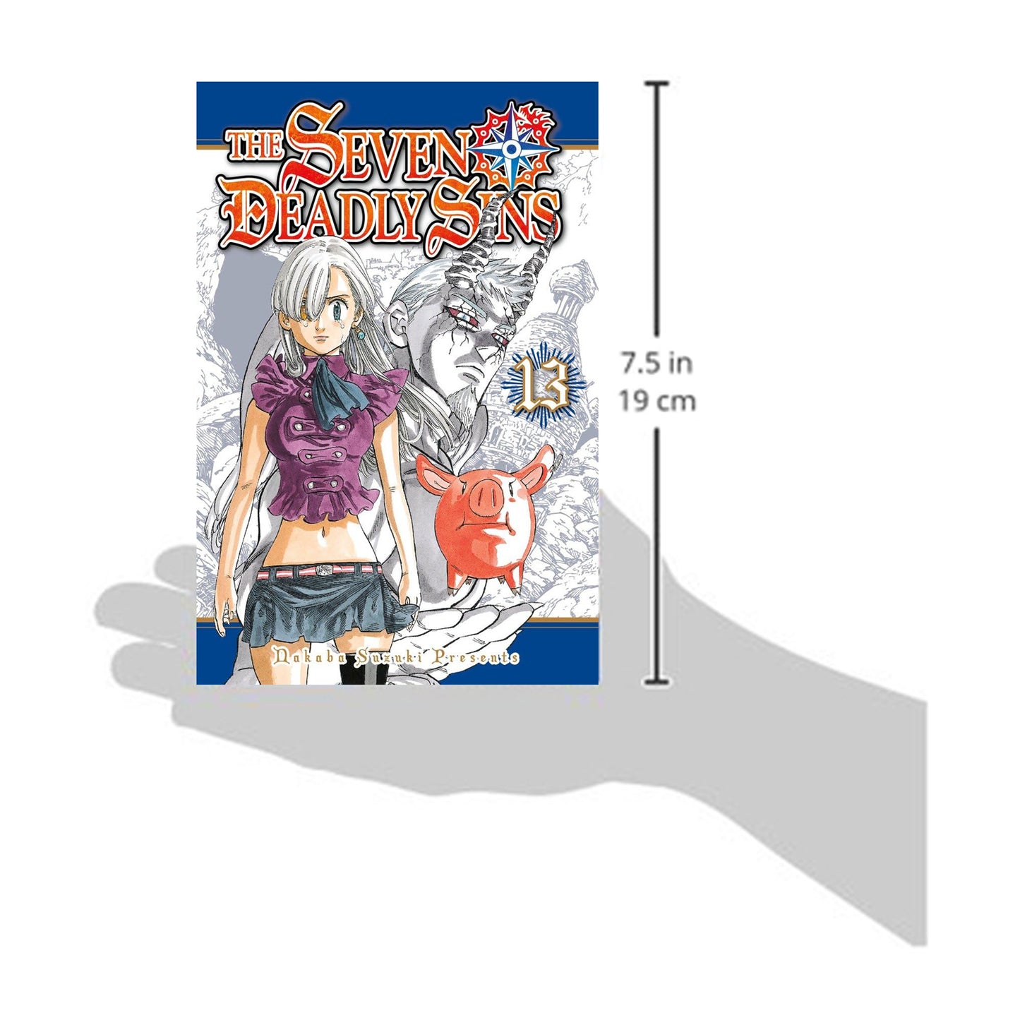 The Seven Deadly Sins, Vol. 13