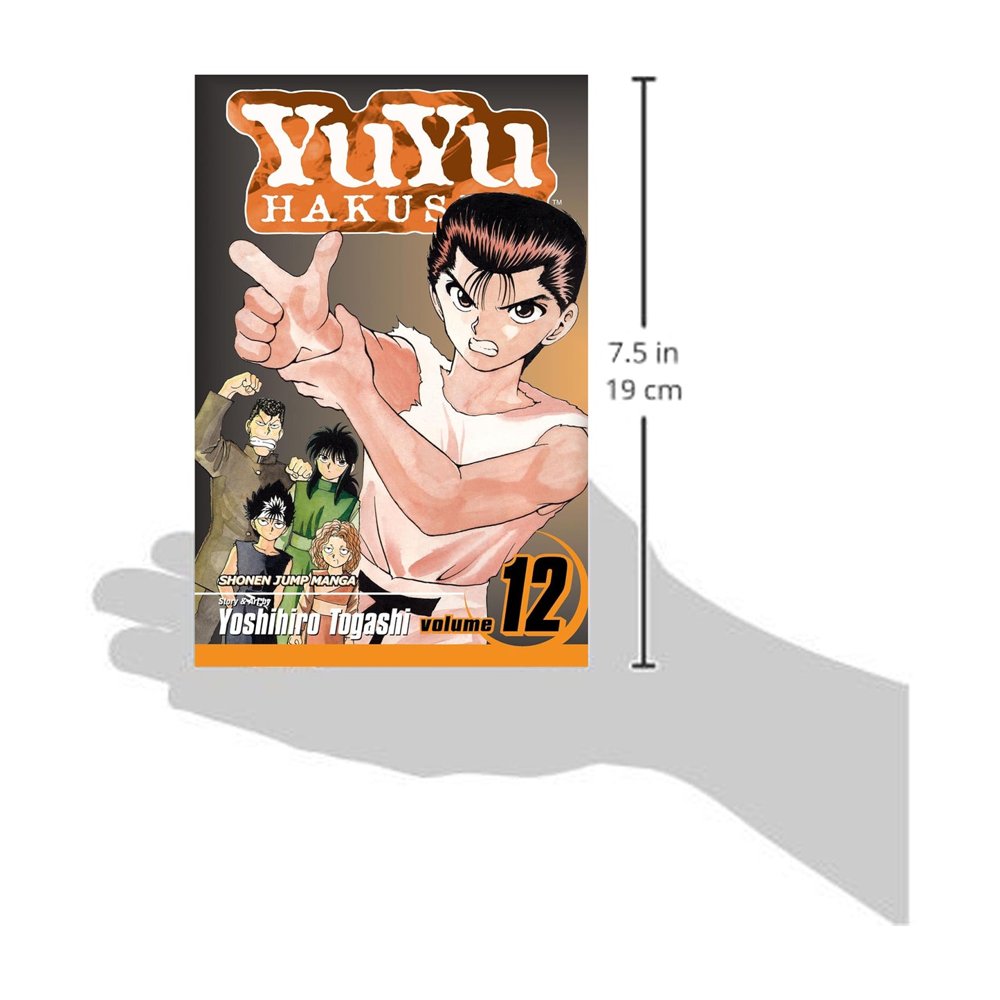 Yu Yu Hakusho, Volume 12: The Championship Match Begins!!