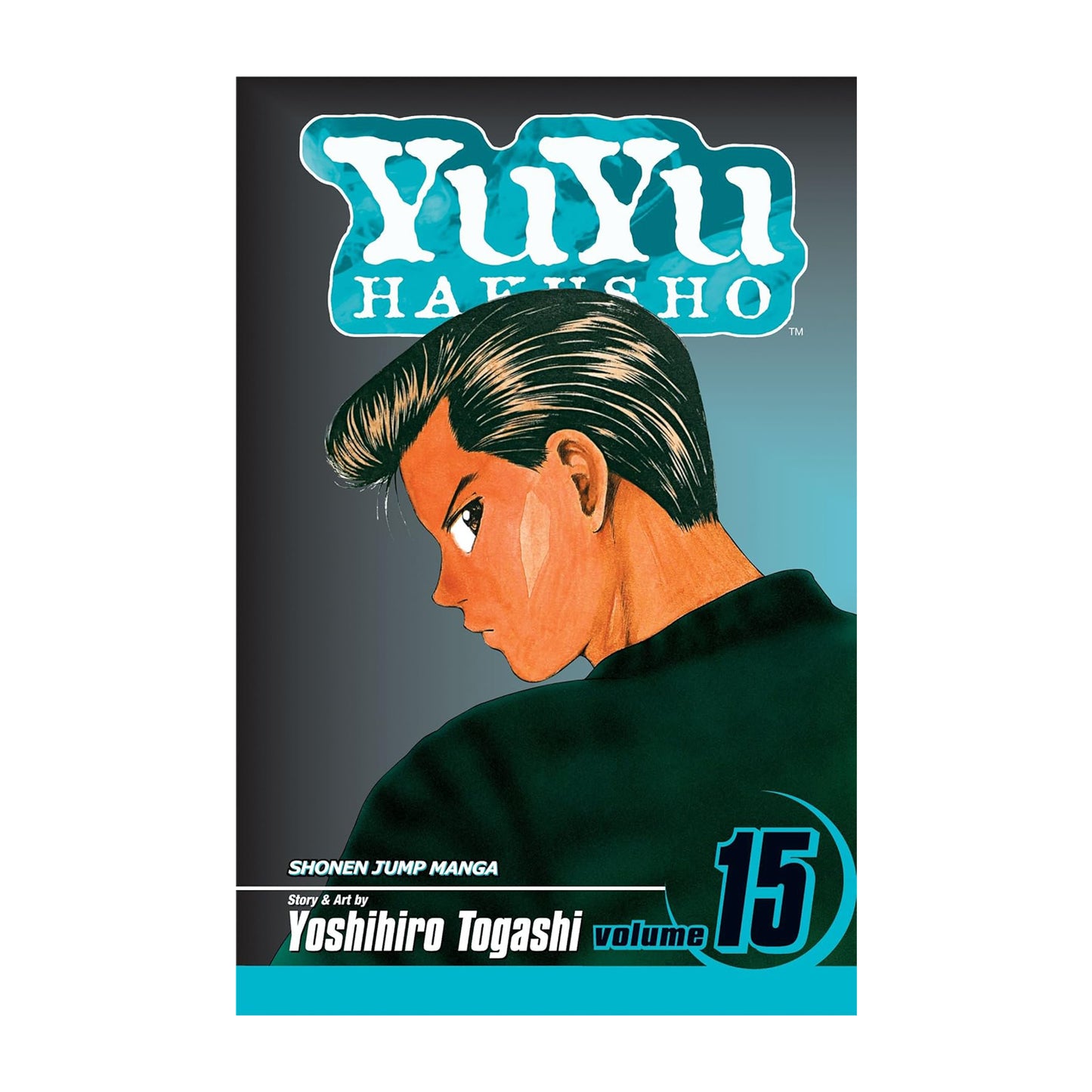 Yu Yu Hakusho, Volume 15: Showdown at the Eleventh Hour