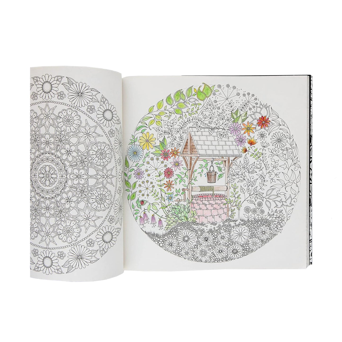 Secret Garden: An Inky Treasure Hunt and Coloring Book