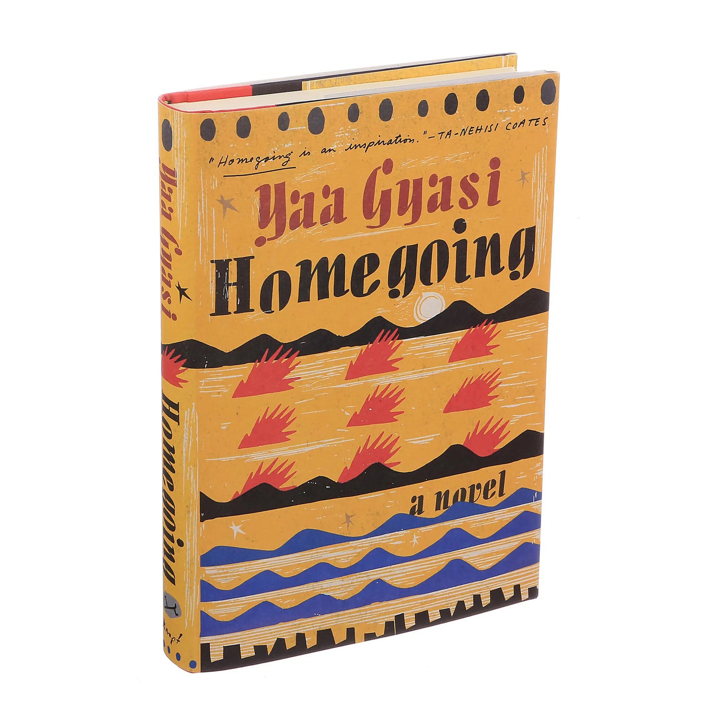 Homegoing: A novel