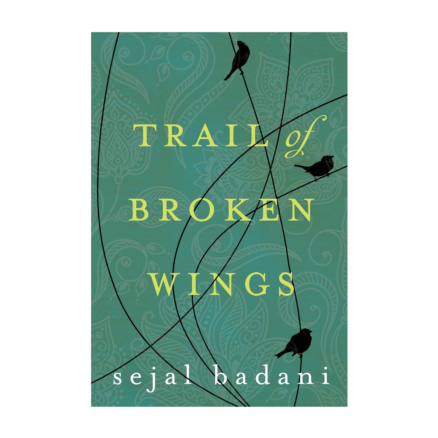 Trail of Broken Wings