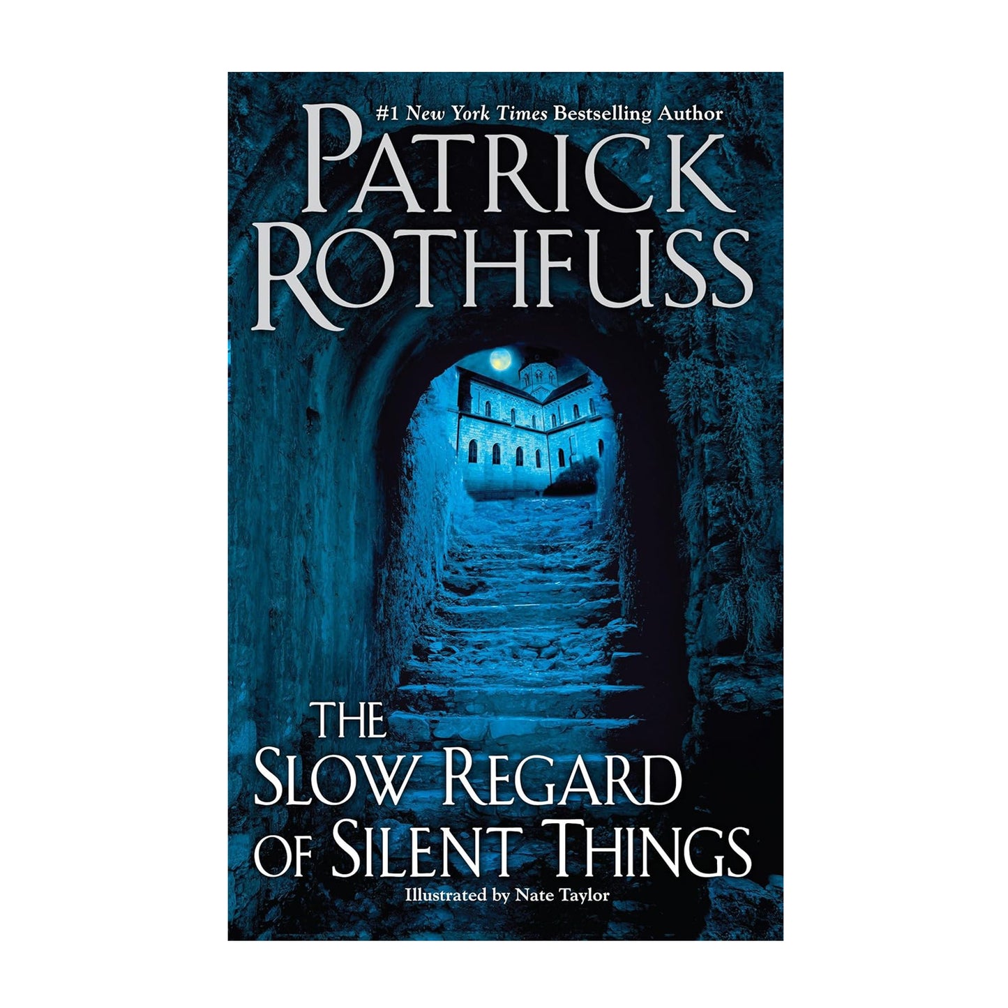 The Slow Regard of Silent Things