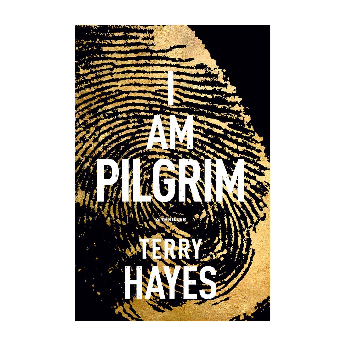 I Am Pilgrim: A Thriller