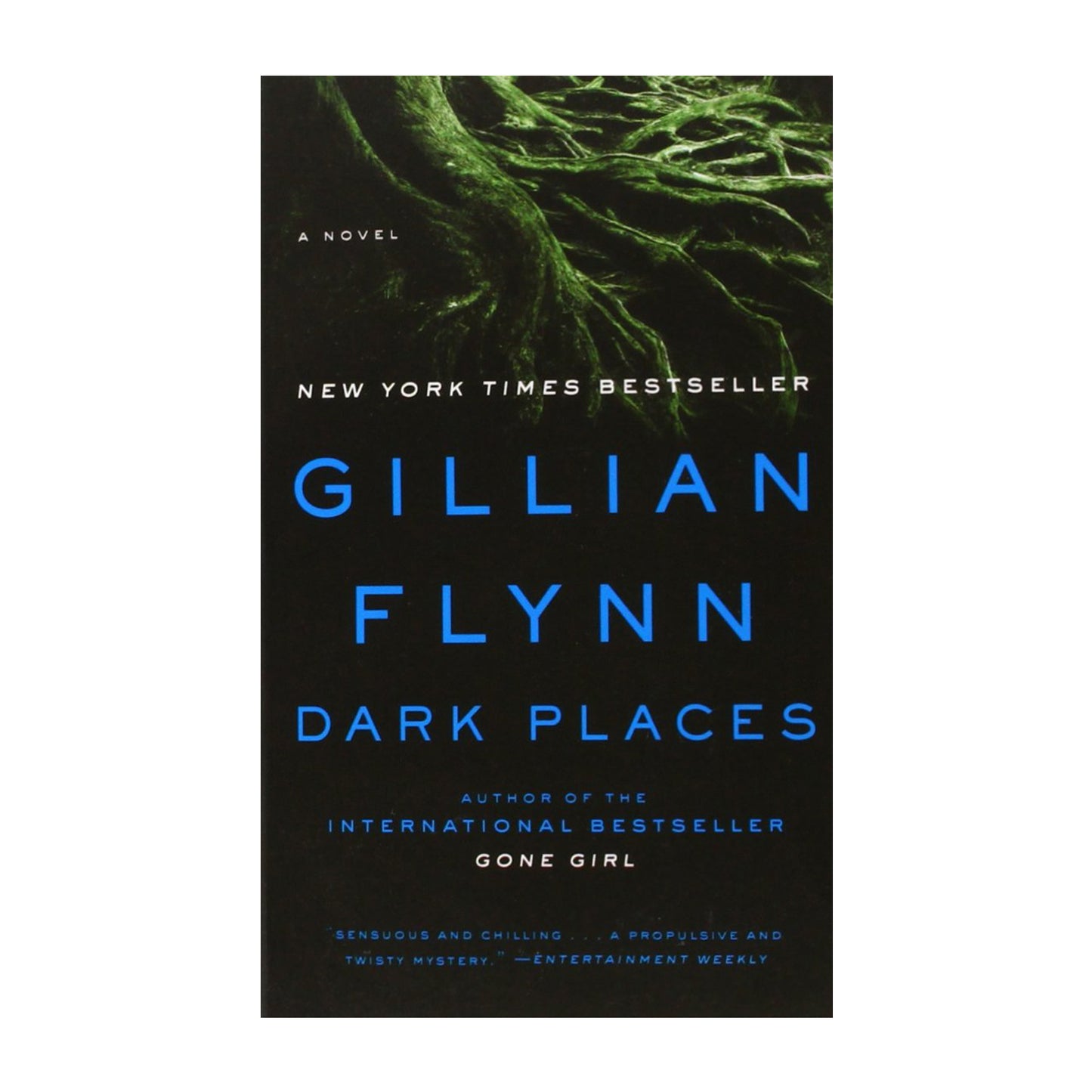 Dark Places: A Novel