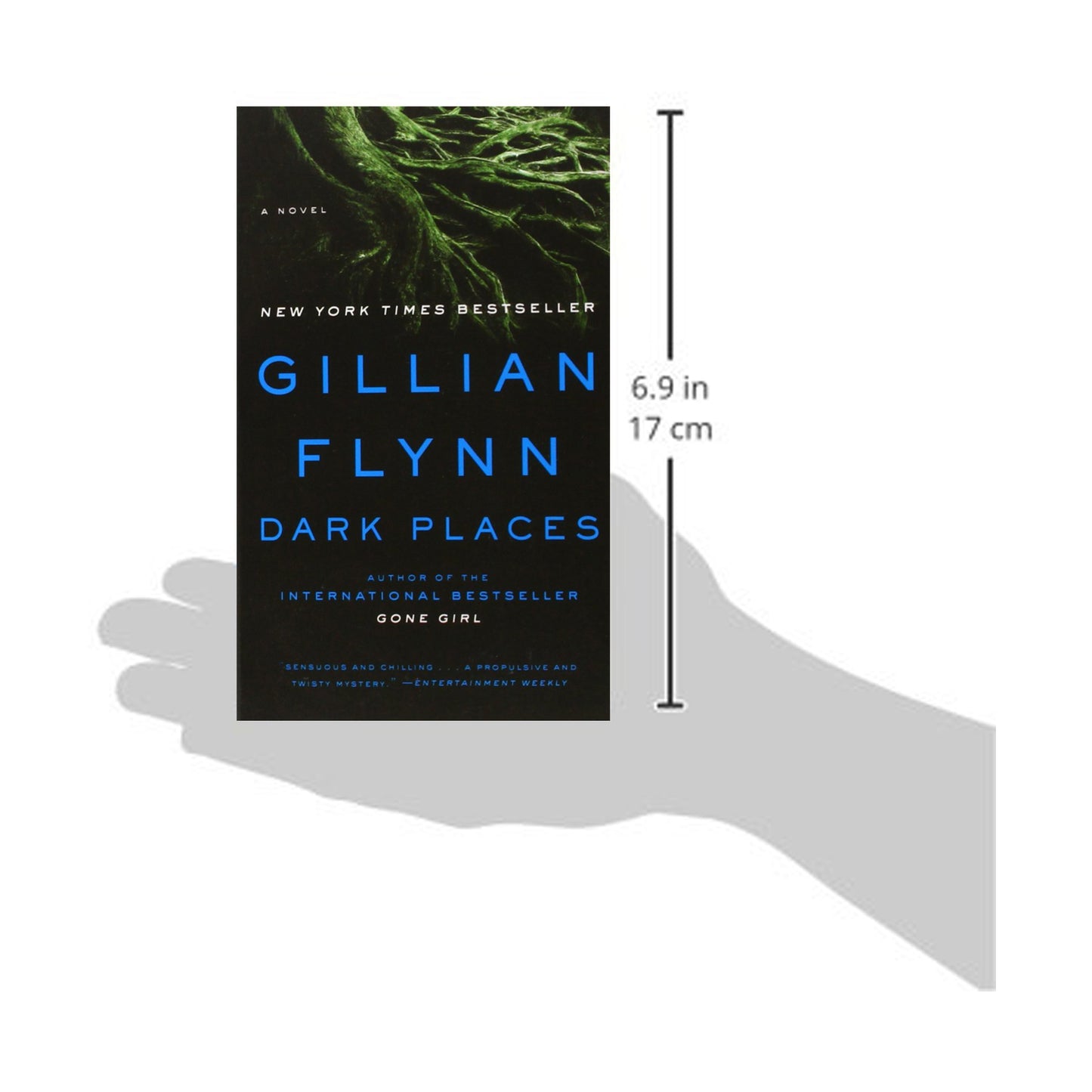 Dark Places: A Novel