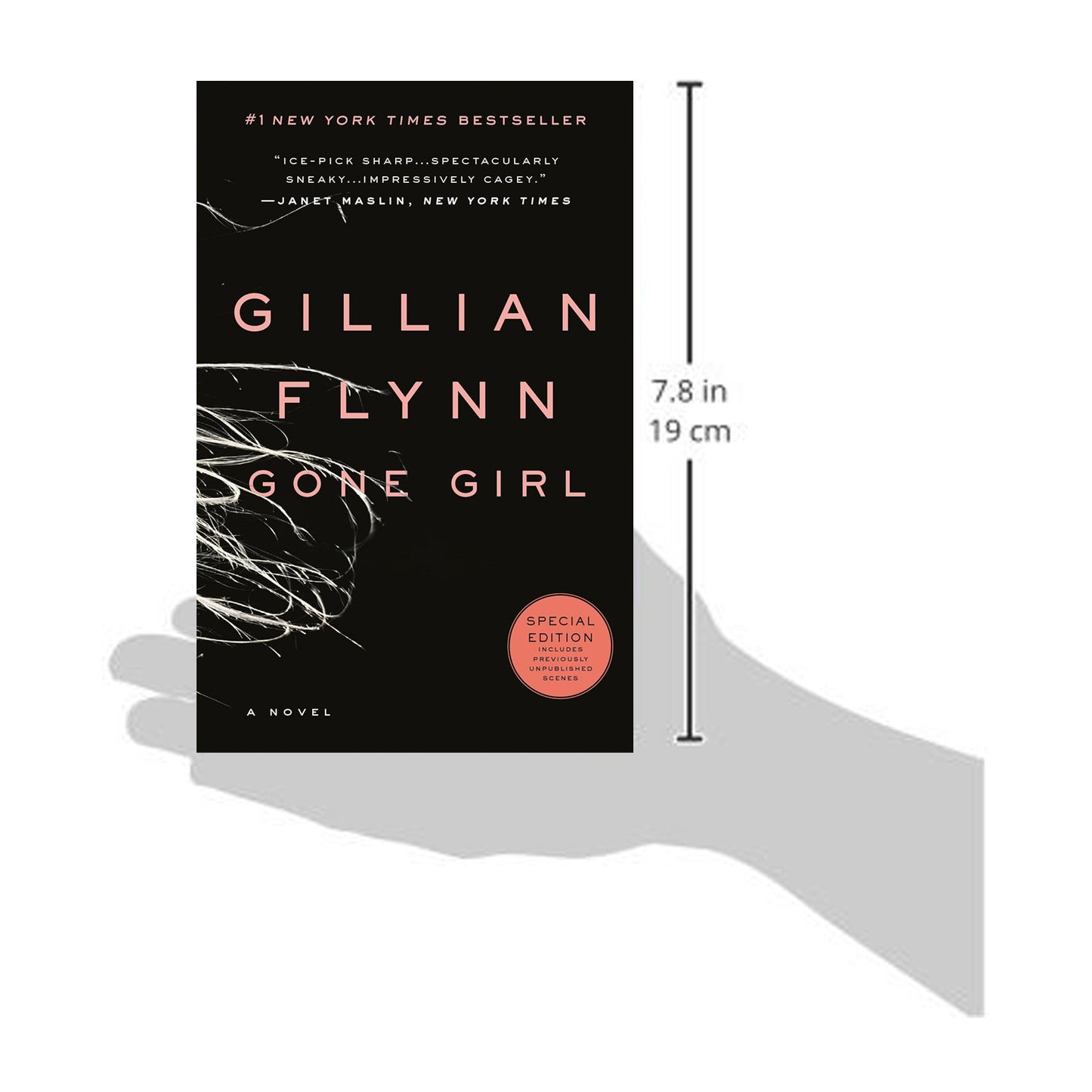 Gone Girl: A Novel