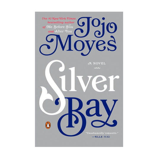 Silver Bay: A Novel