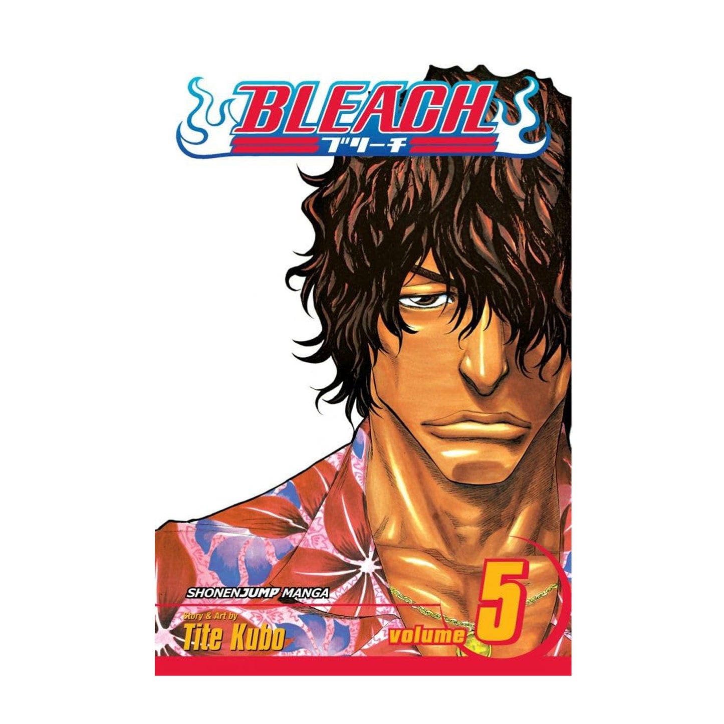 Bleach, Volume 5