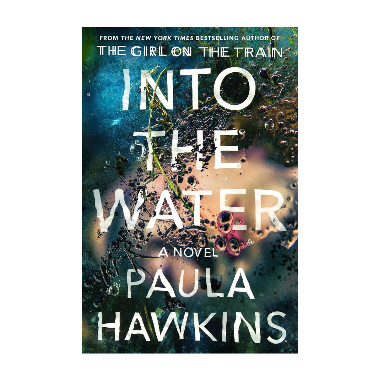 Into the Water: A Novel