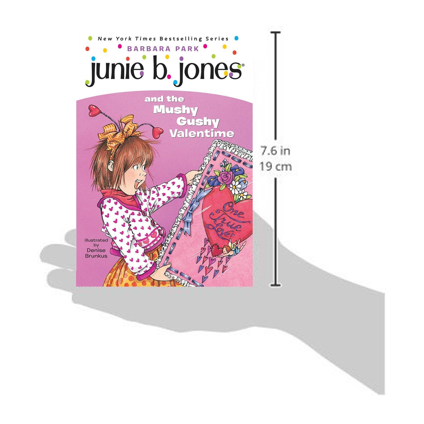 Junie B. Jones and the Mushy Gushy Valentime