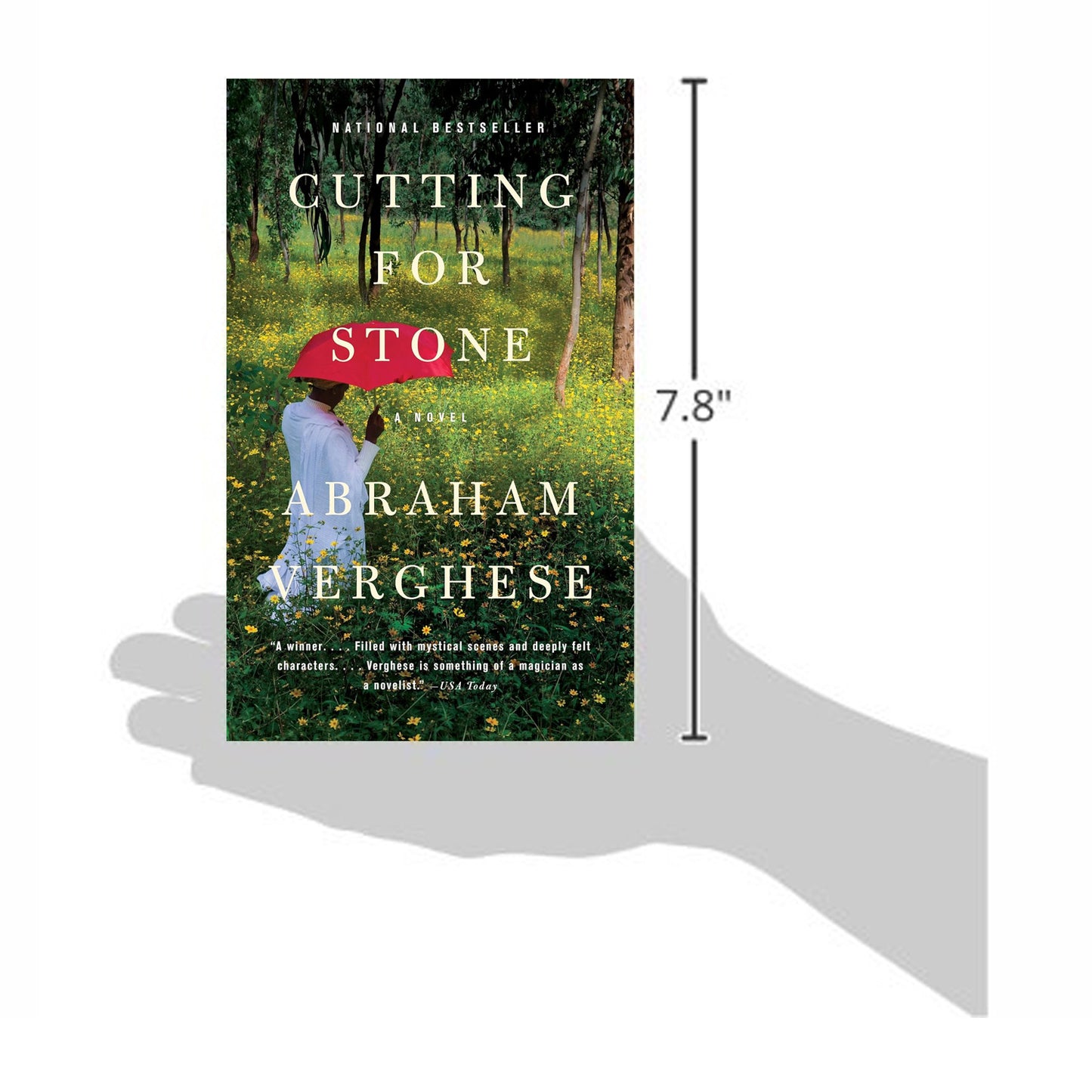 Cutting for Stone: A Novel