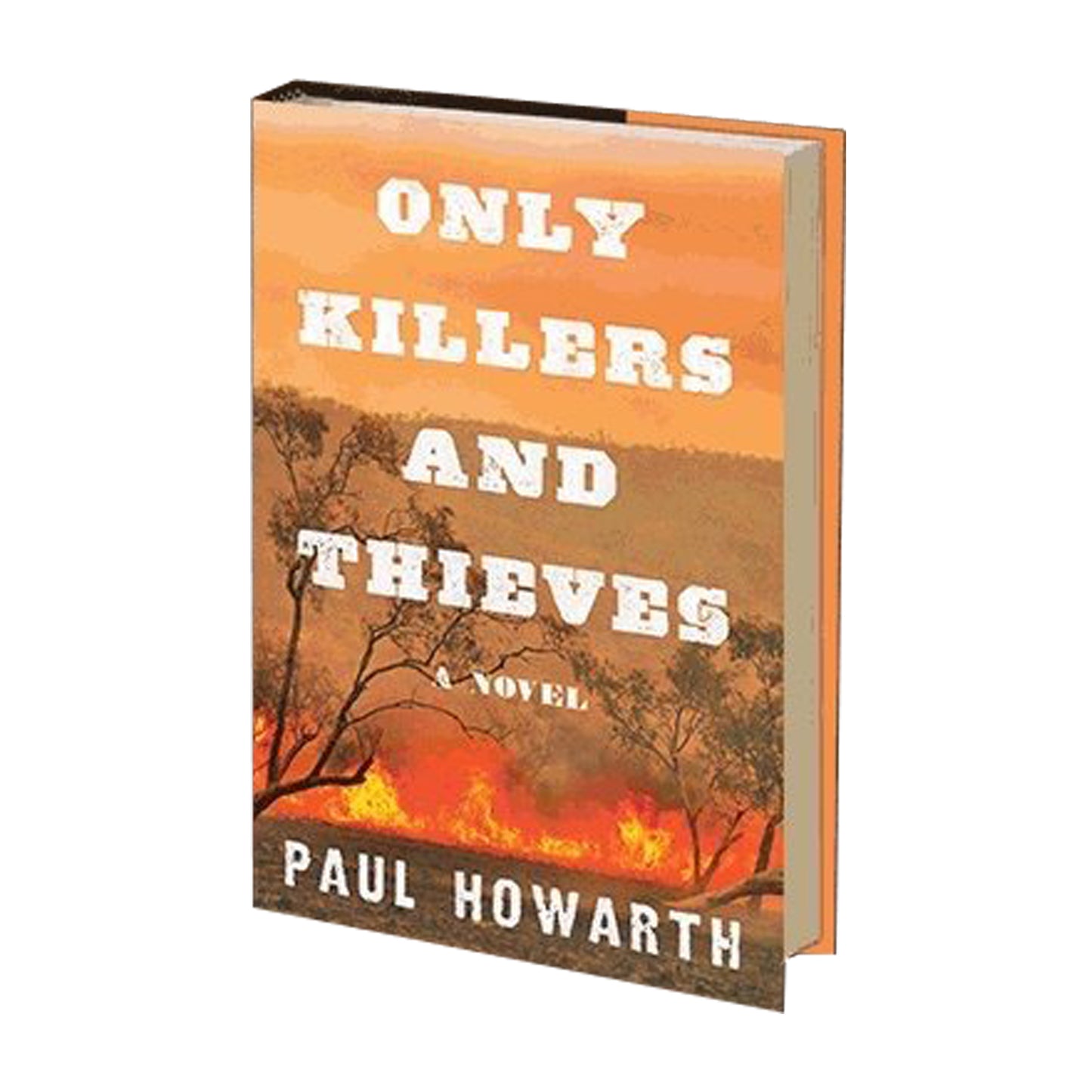 Only Killers and Thieves: A Novel