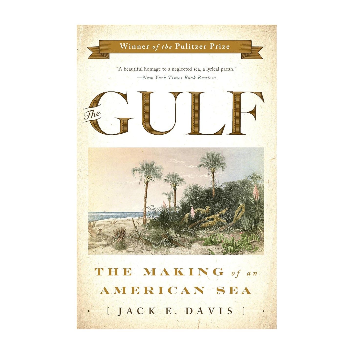 The Gulf: The Making of an American Sea