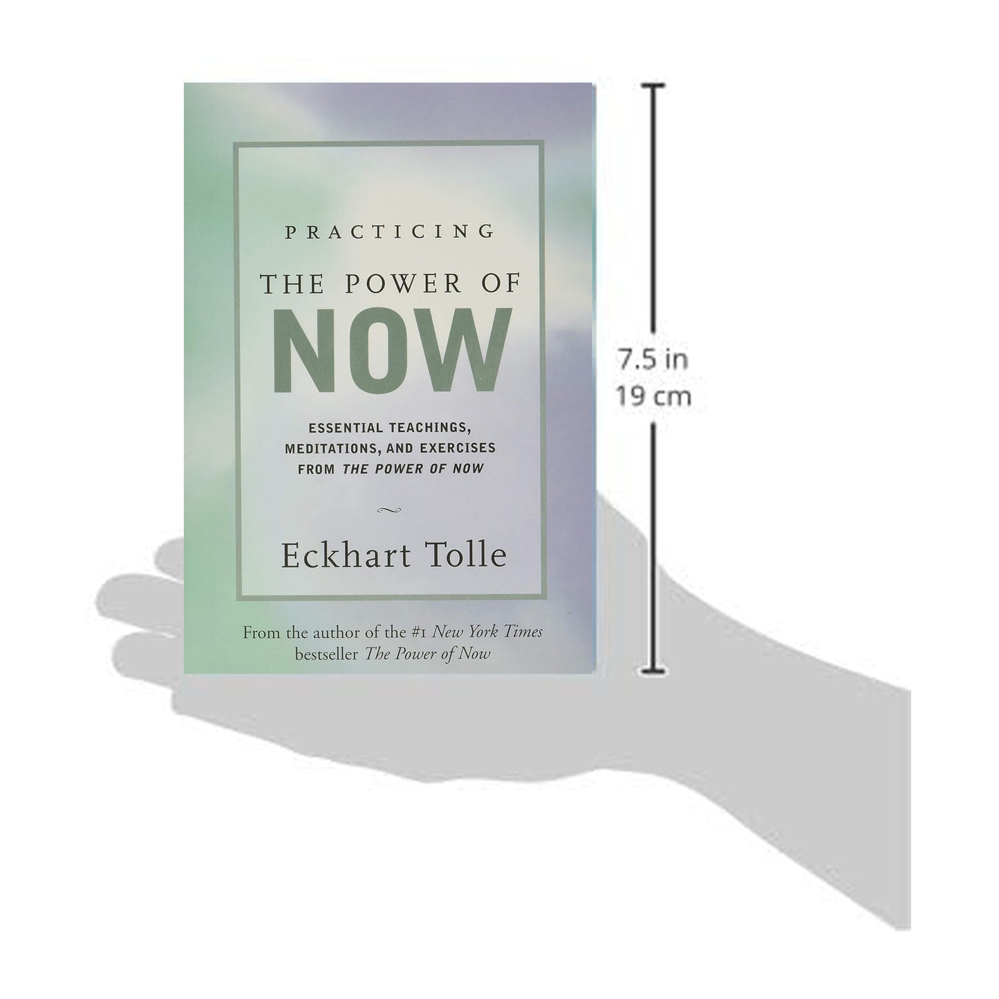 Practicing the Power of Now: Essential Teachings, Meditations, and Exercises From The Power of Now