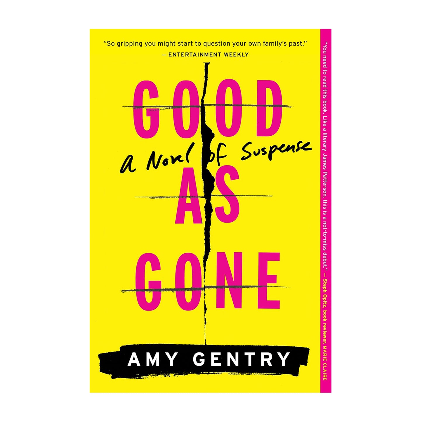 Good as Gone: A Novel of Suspense