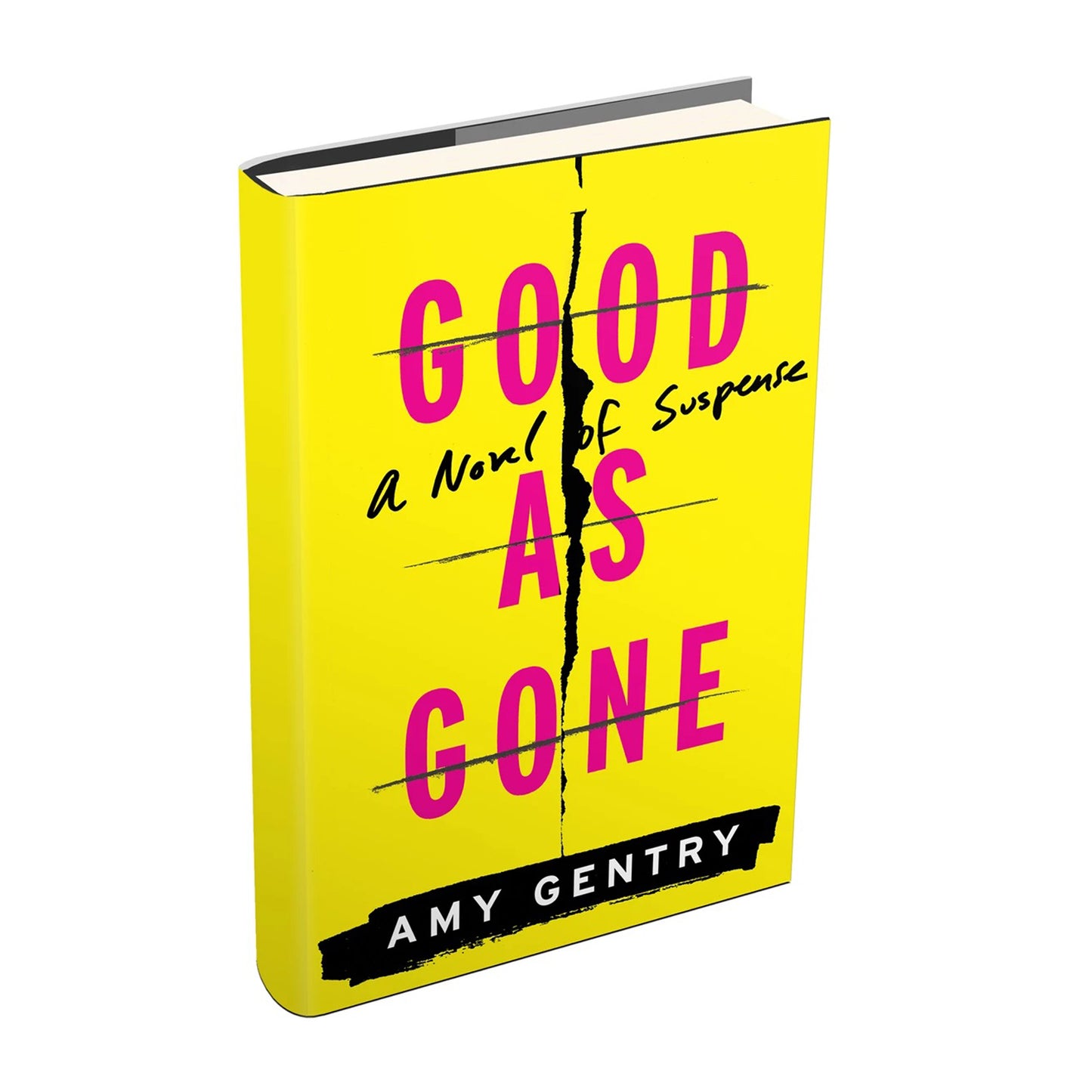 Good as Gone: A Novel of Suspense