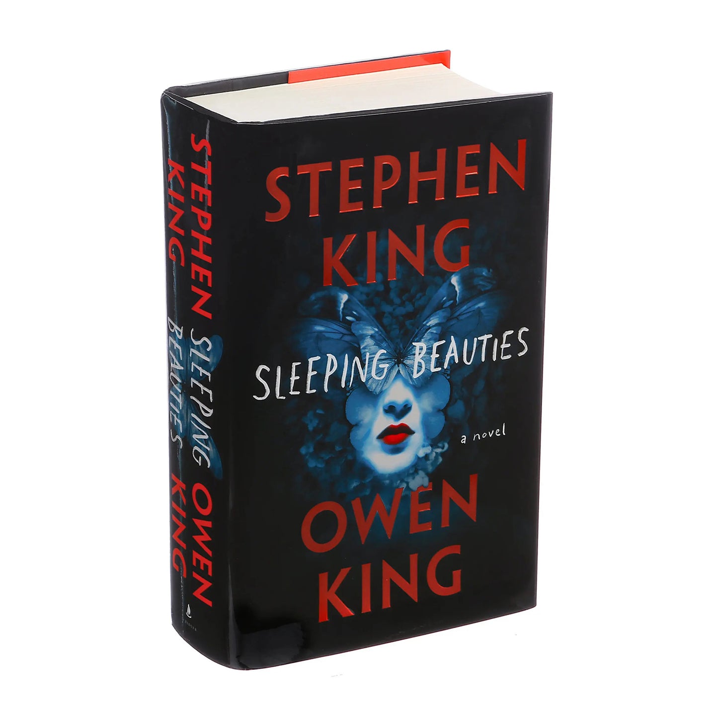 Sleeping Beauties: A Novel