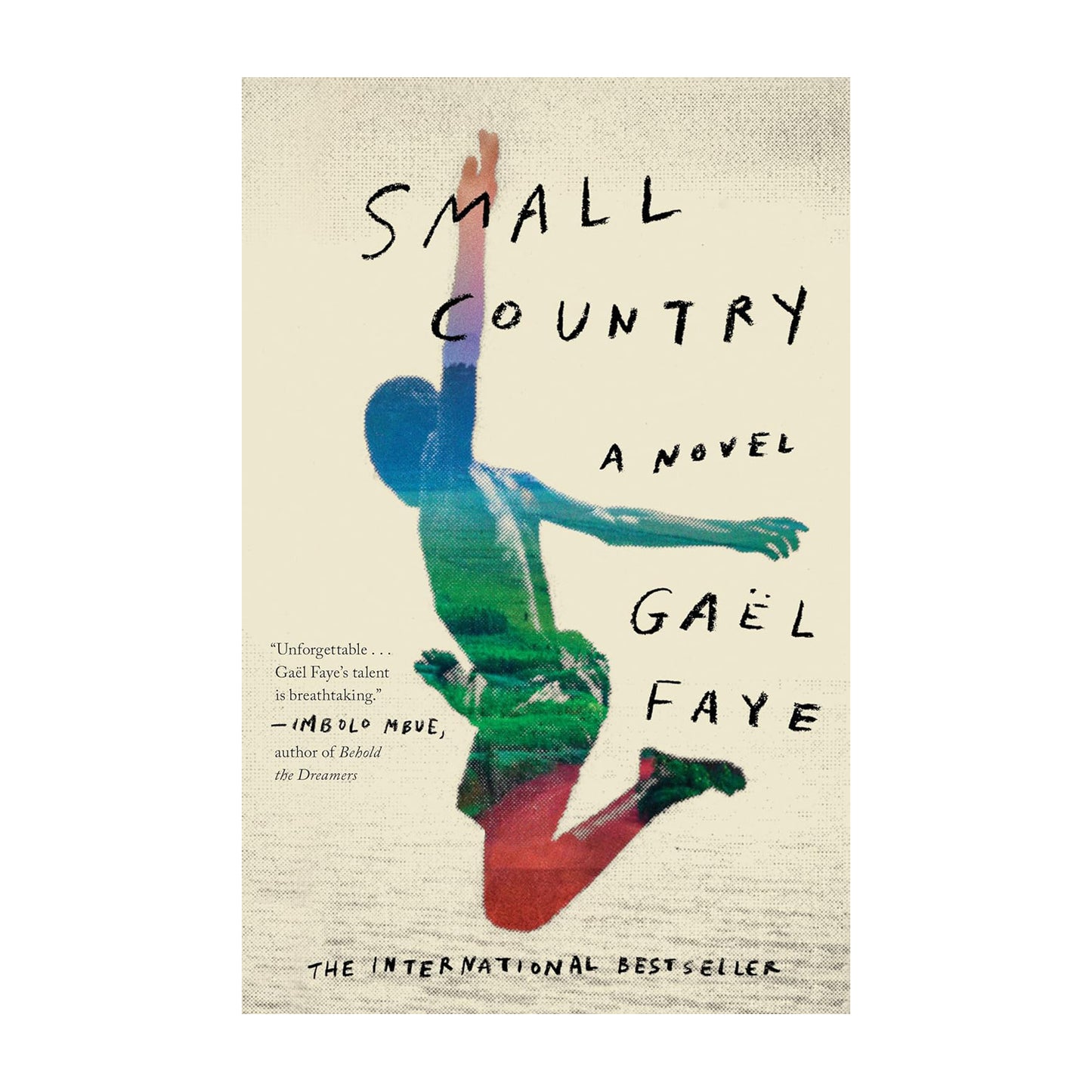 Small Country: A Novel