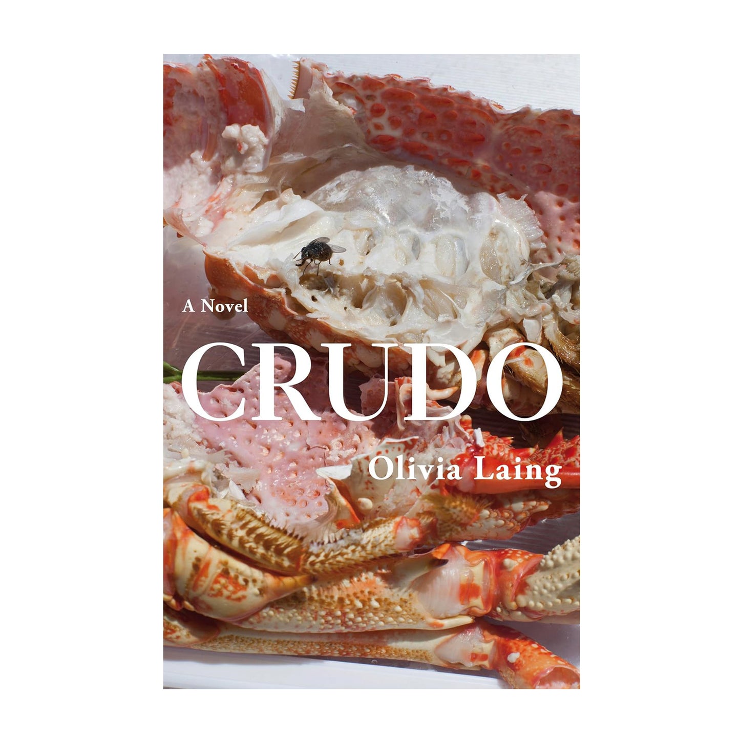 Crudo: A Novel