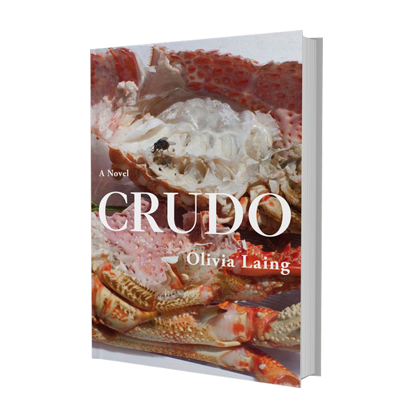 Crudo: A Novel