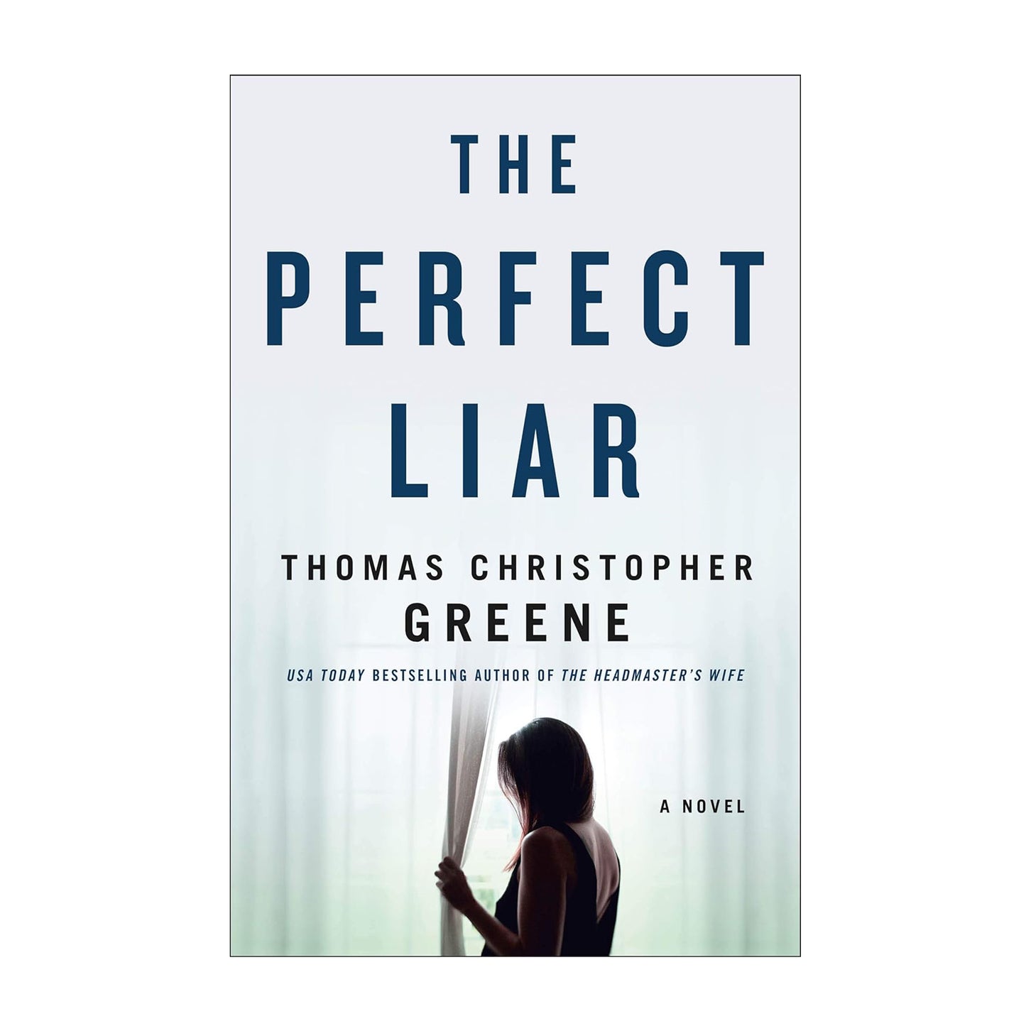 The Perfect Liar: A Novel