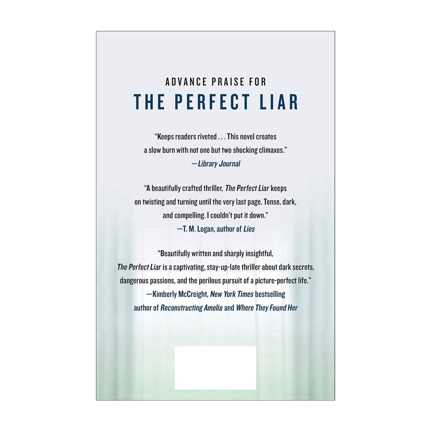 The Perfect Liar: A Novel