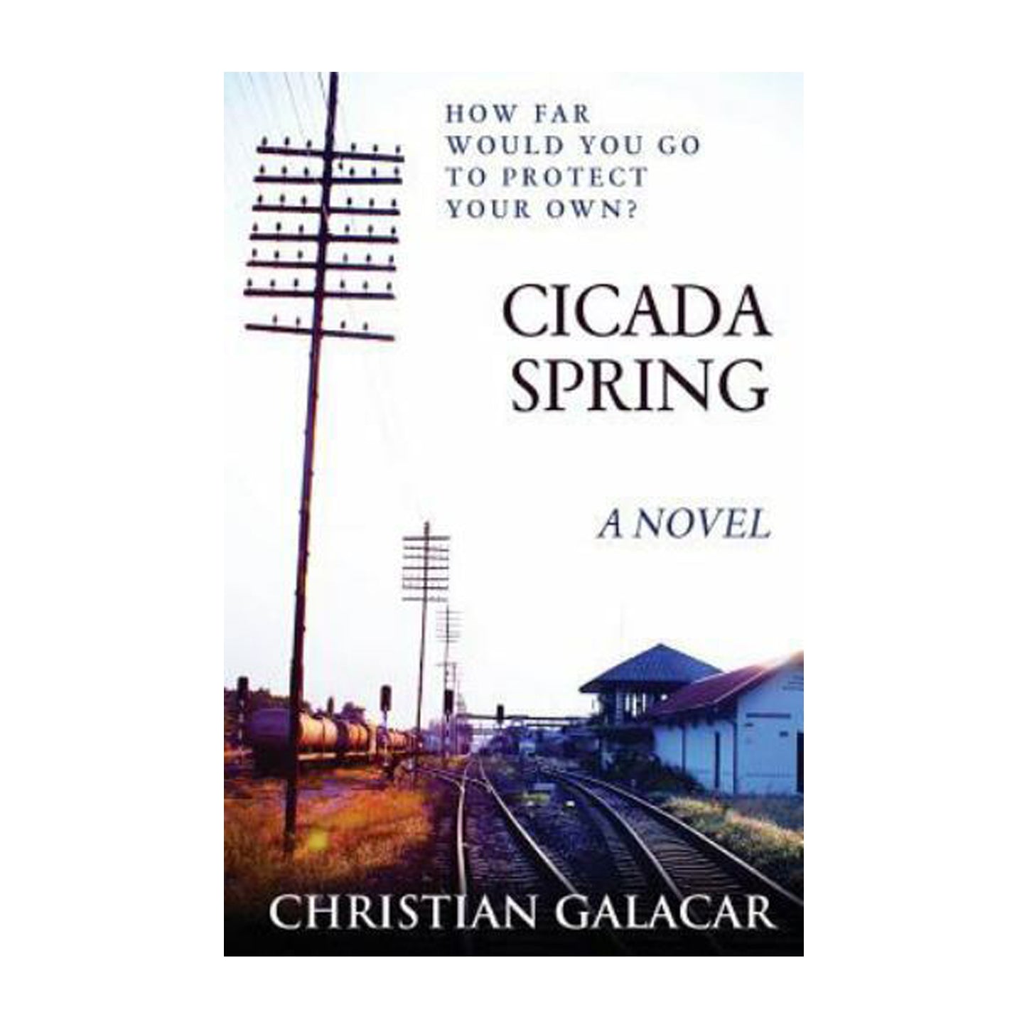 Cicada Spring: A Novel