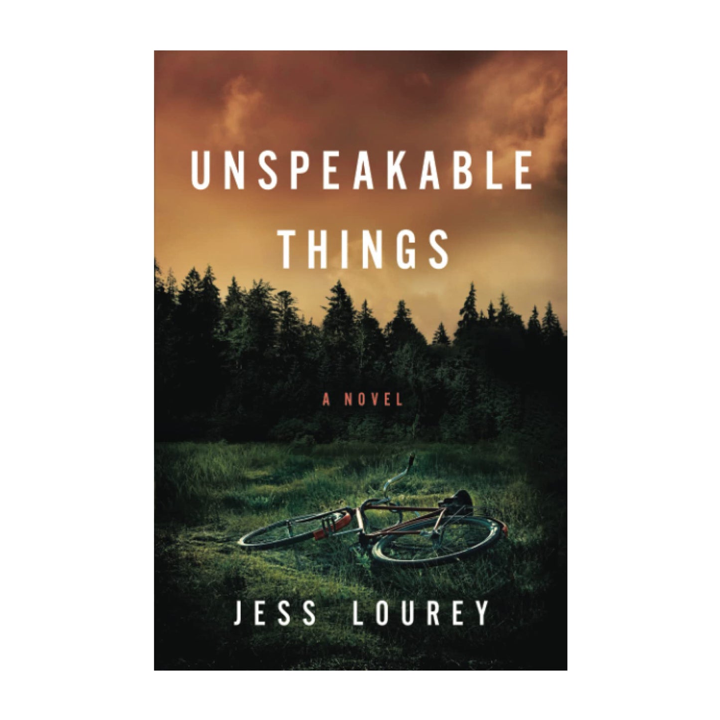 Unspeakable Things: A Novel